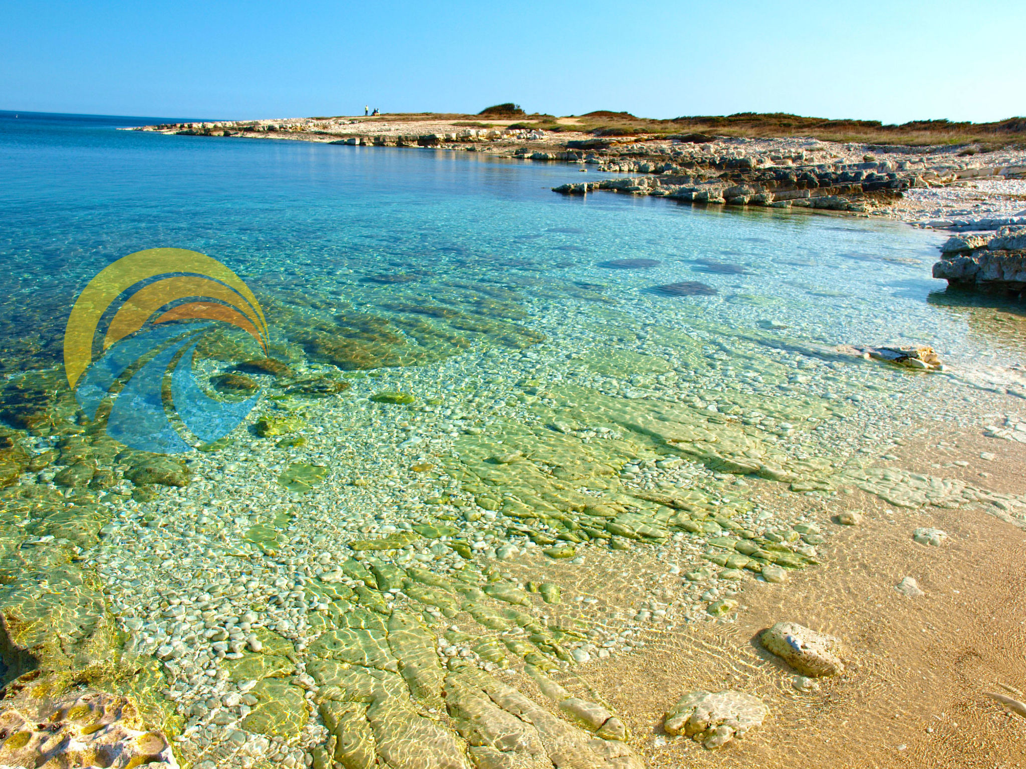 Photo of Apartment 1728