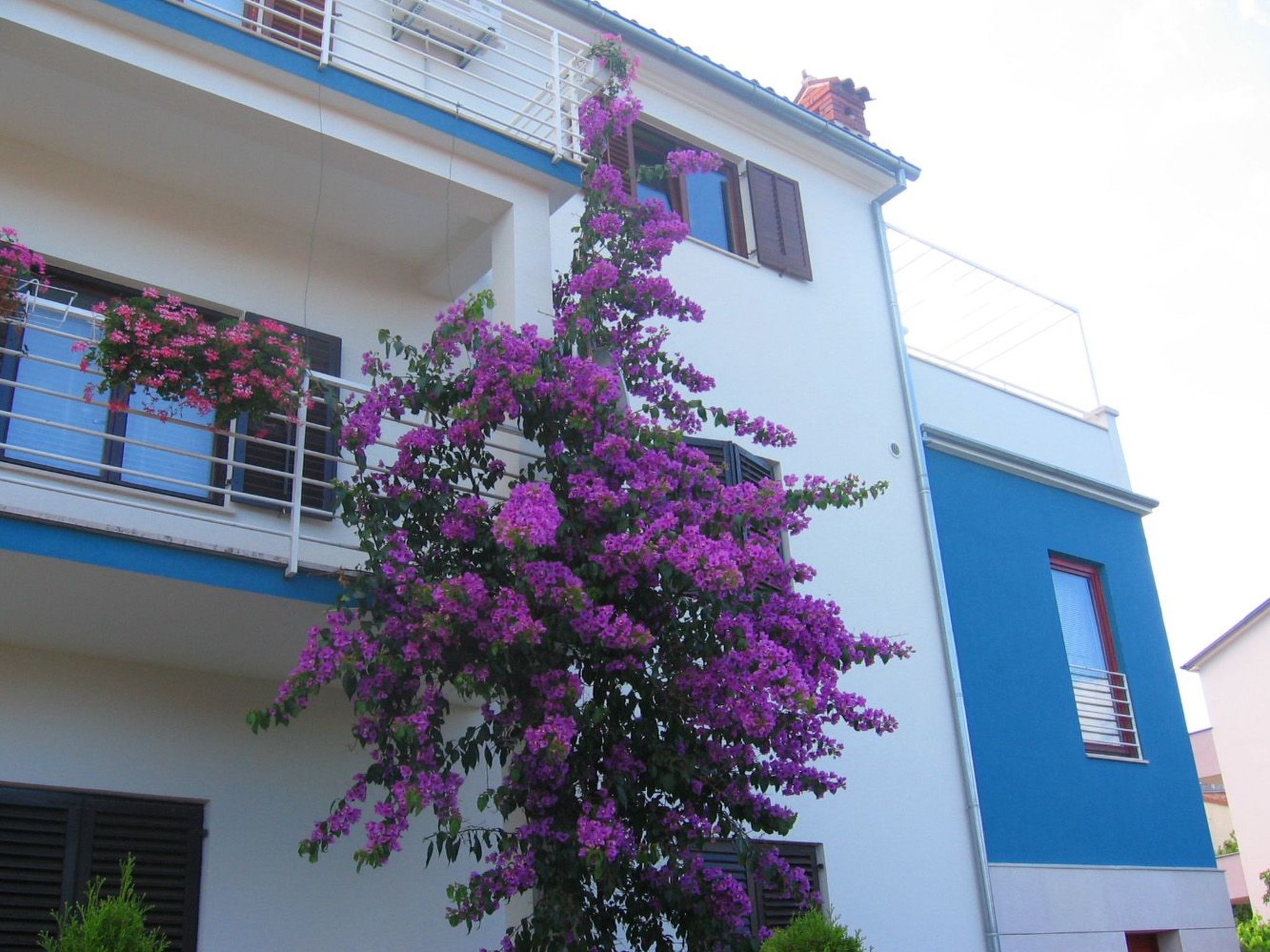 Photo of Große Wohnung in Pješčana Uvala mit Eigenem Balk