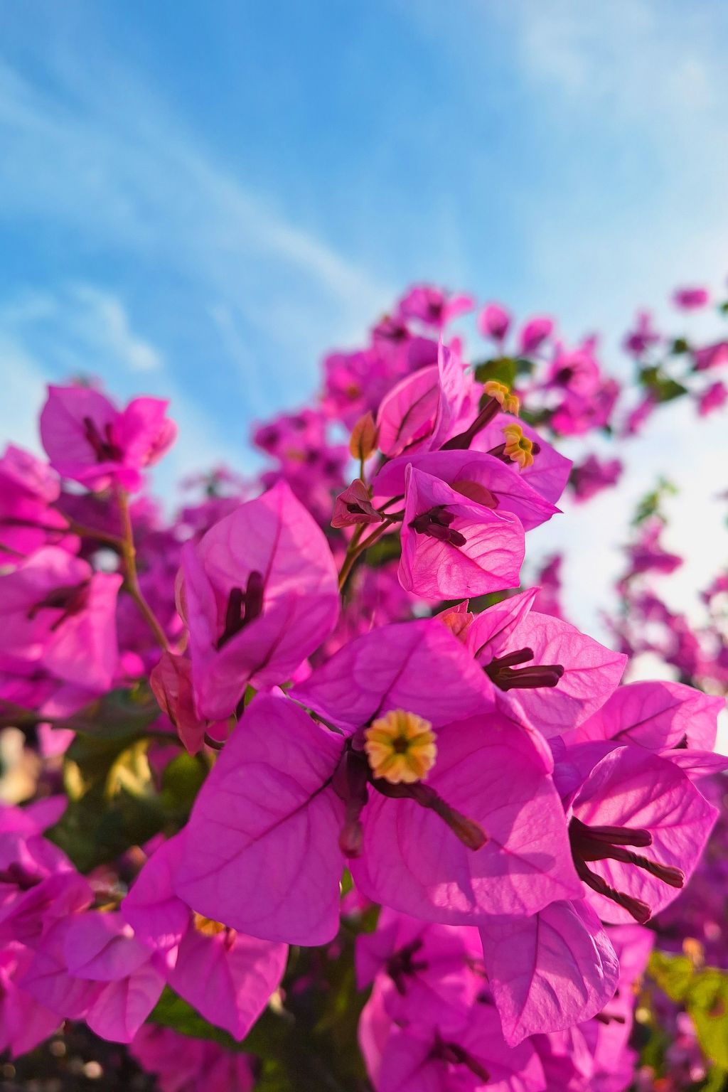 Photo of Große Wohnung in Pješčana Uvala mit Eigenem Balk