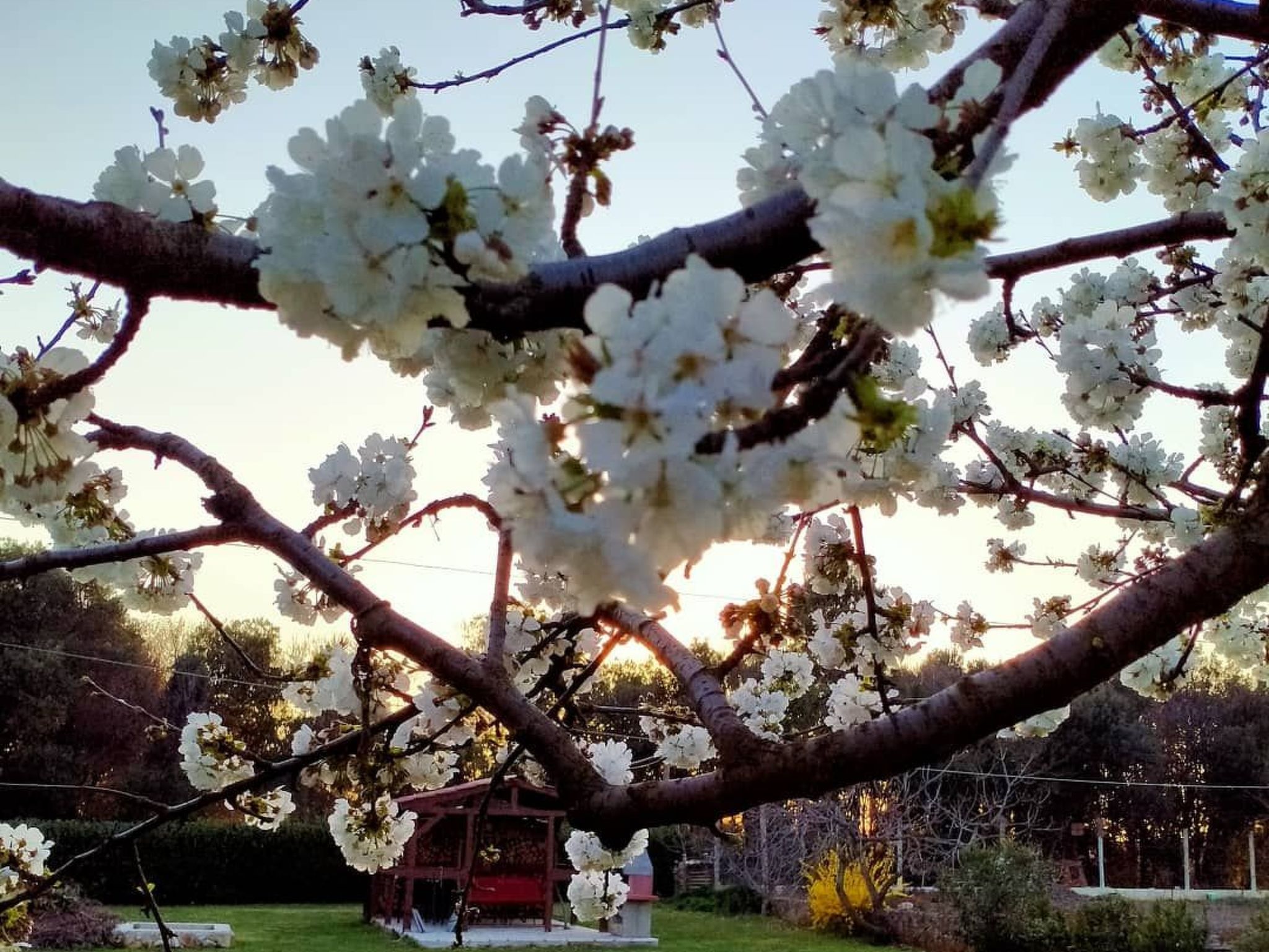 Anwesen "Nina" auf einem eingezäunten Grundstück-Dehors