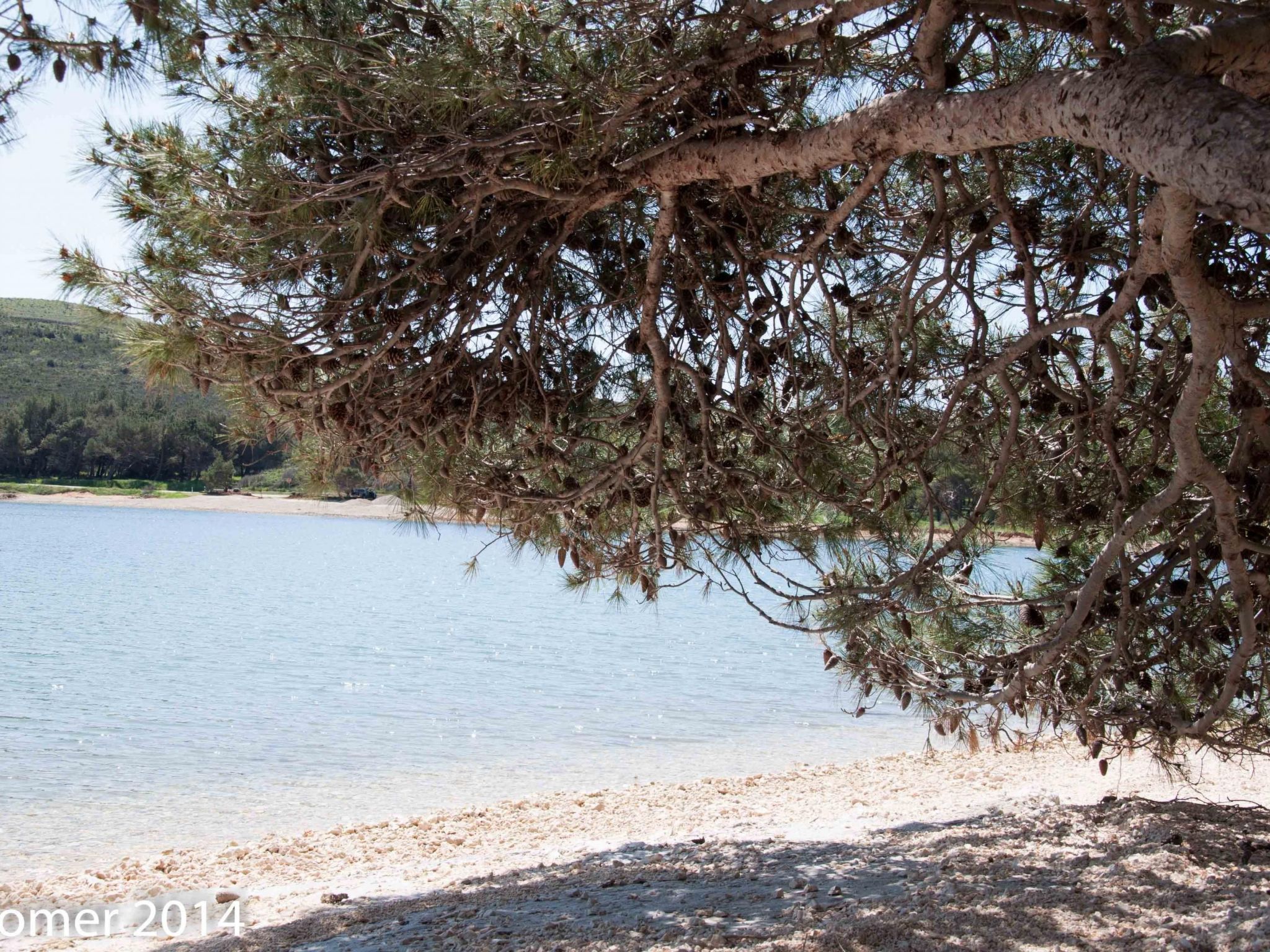 Photo of Xenia Wohnung 2