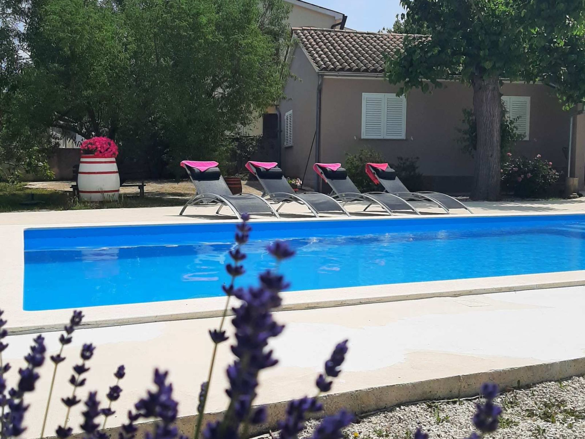 AQUA mit Pool-Dedans