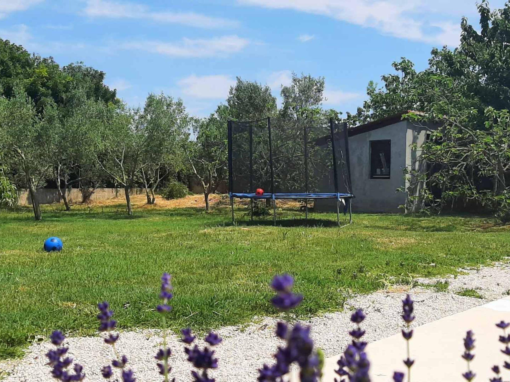 Photo of AQUA mit Pool