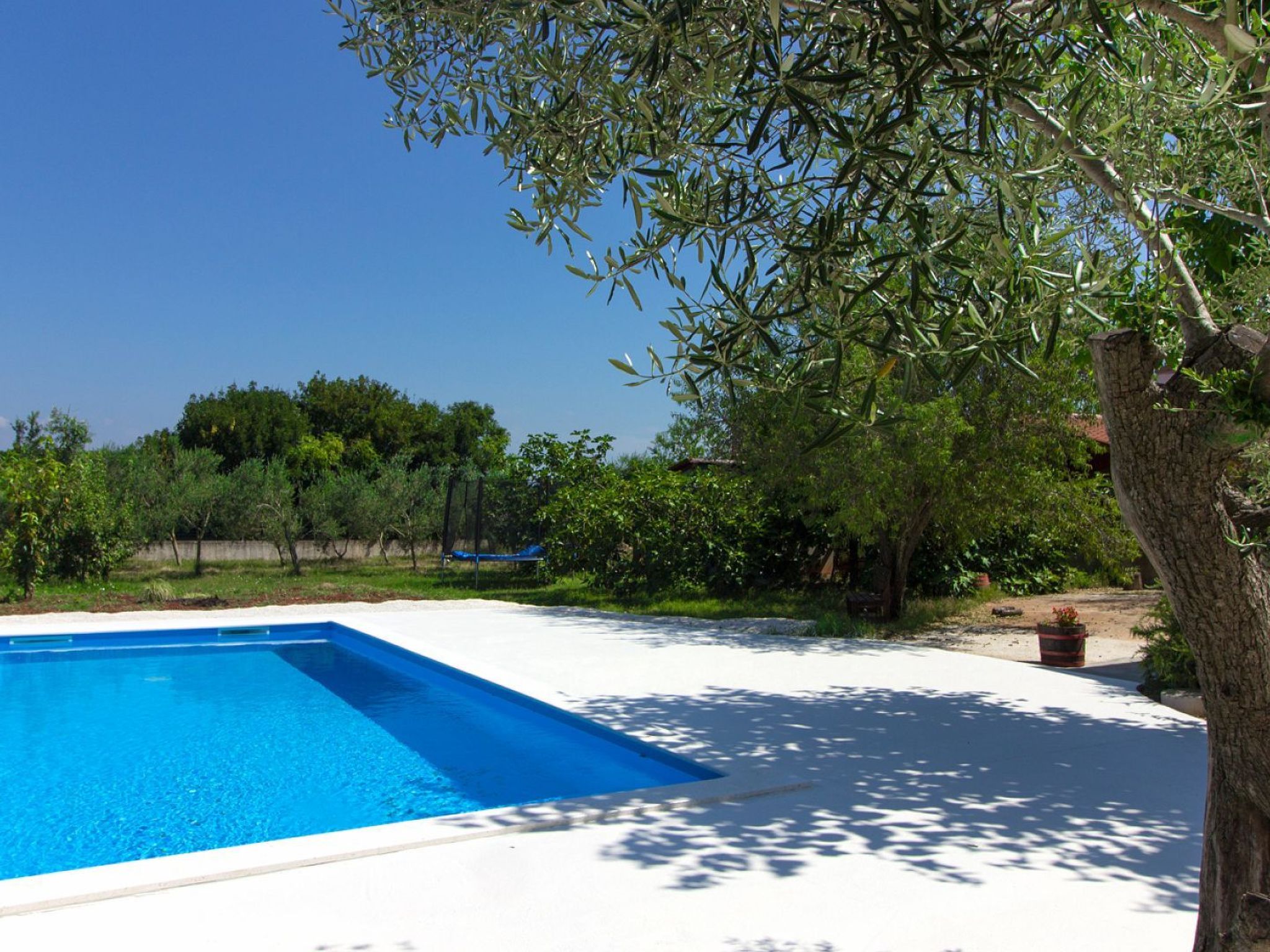 AQUA mit Pool-Dedans