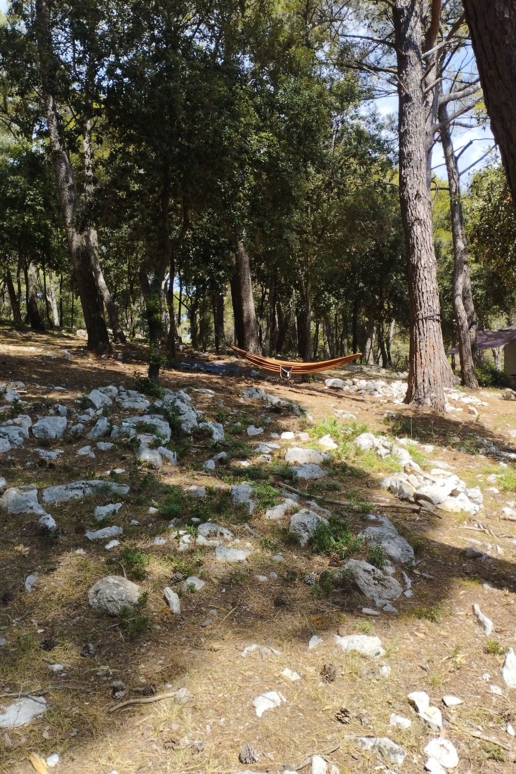Photo of Wohnung in Banjole mit Möblierter Terrasse
