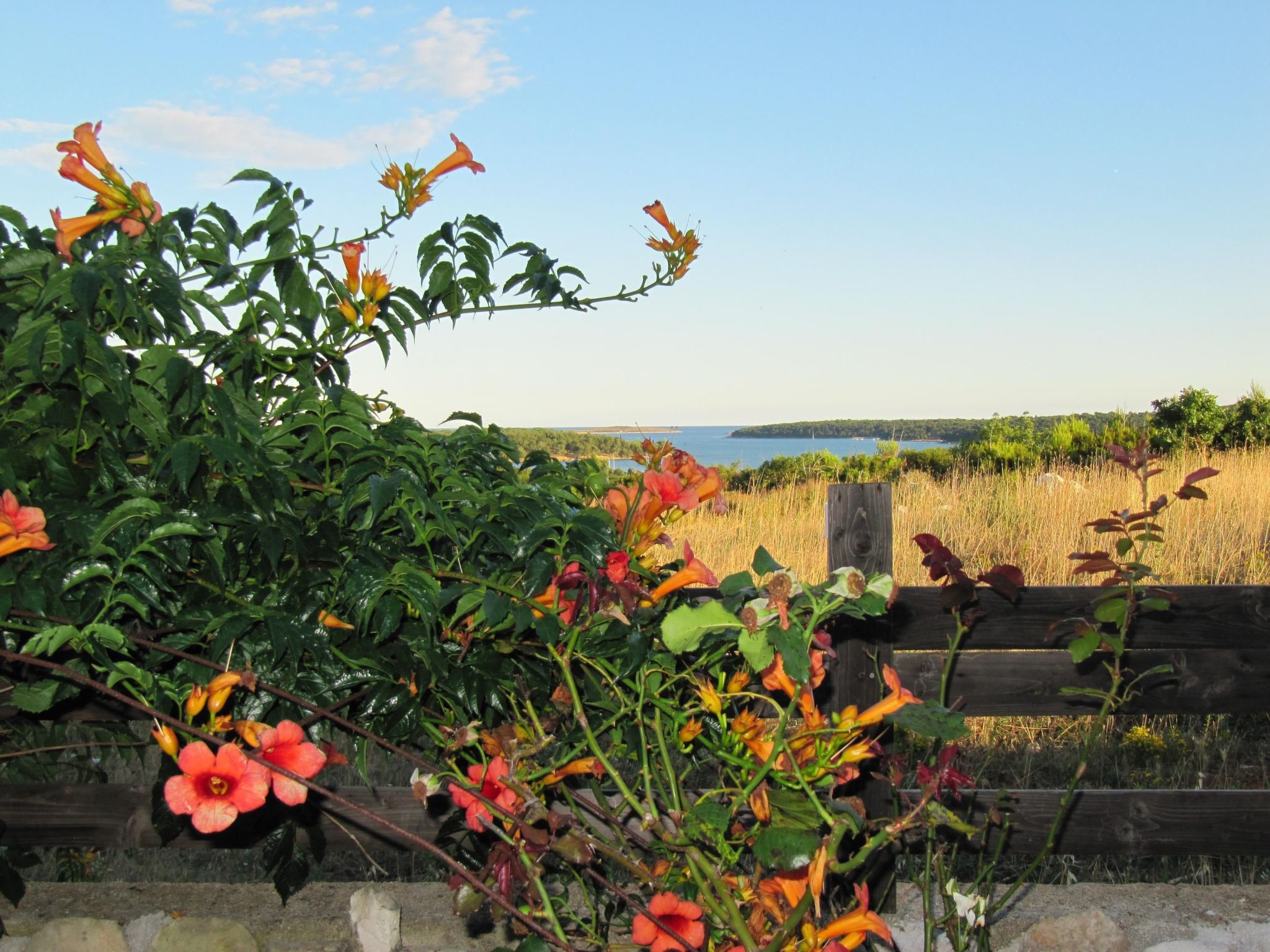 Schönes Haus in Pomer mit privatem Parkplatz-Drinnen