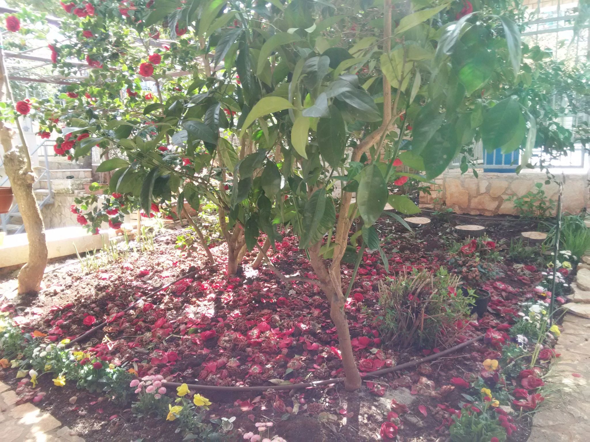 Wohnung "MaVeRo" direkt am Strand-Dedans