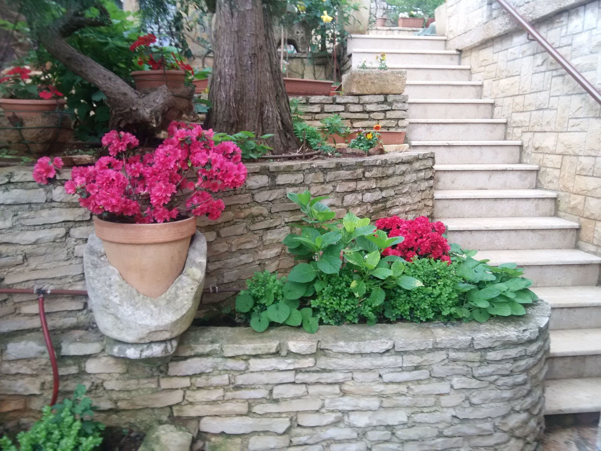Wohnung "MaVeRo" direkt am Strand-Dedans