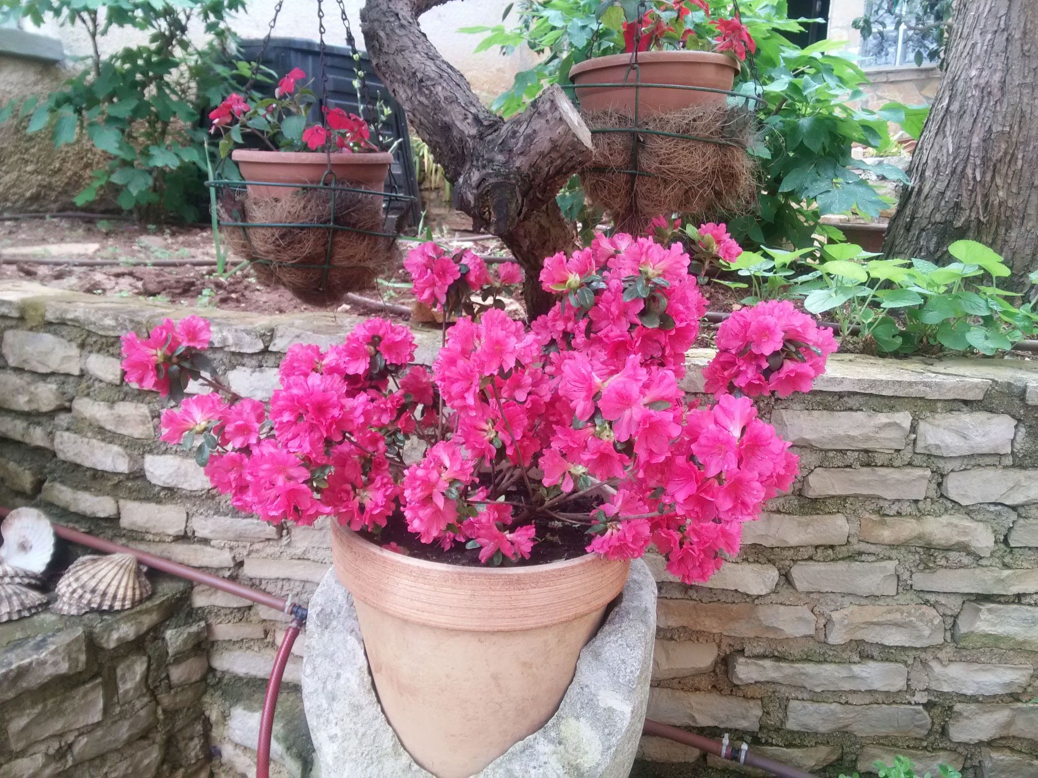 Wohnung "MaVeRo" direkt am Strand-Dedans