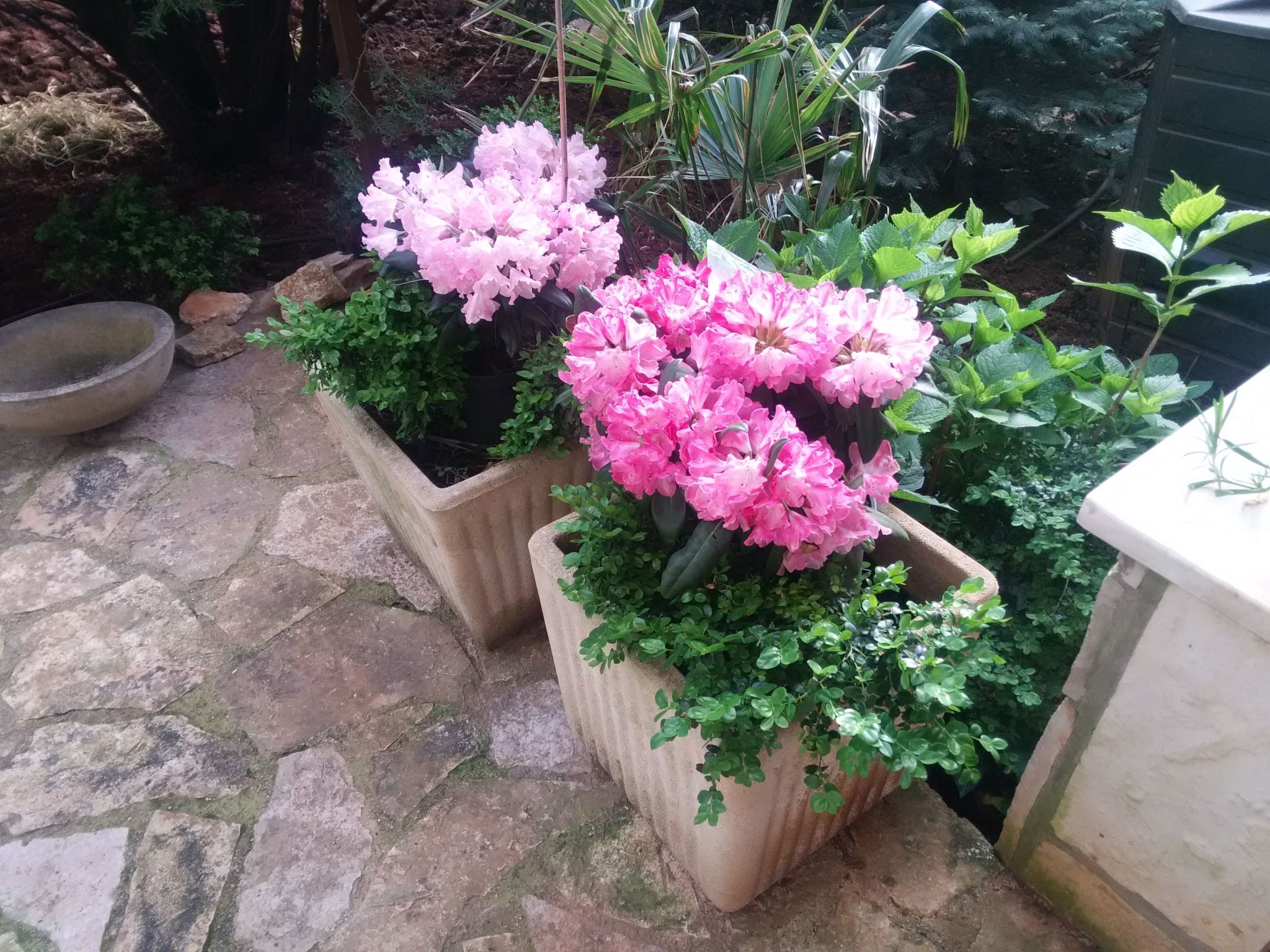 Wohnung "MaVeRo" direkt am Strand-Dedans