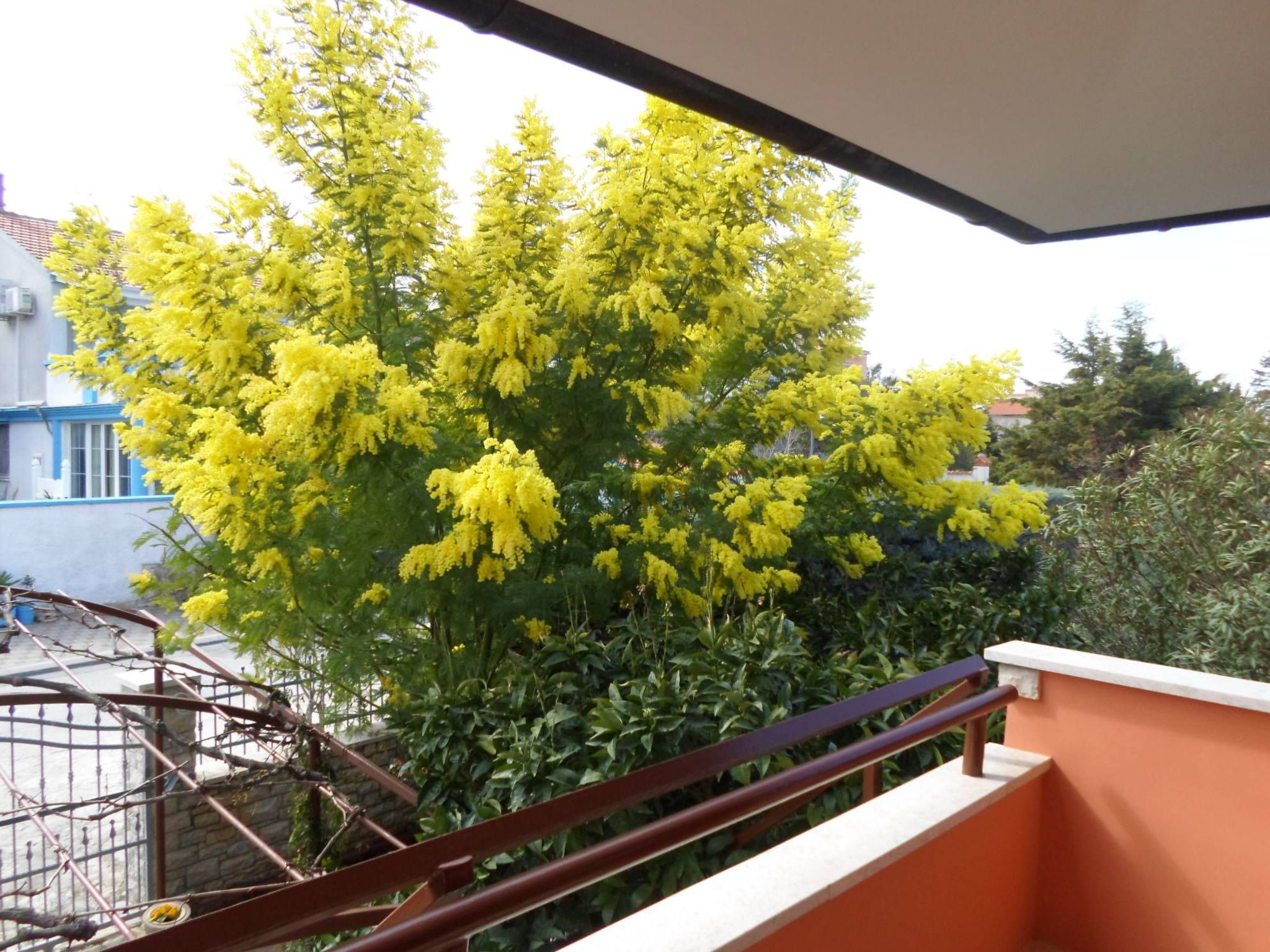 Wohnung "MaVeRo" direkt am Strand-Dedans