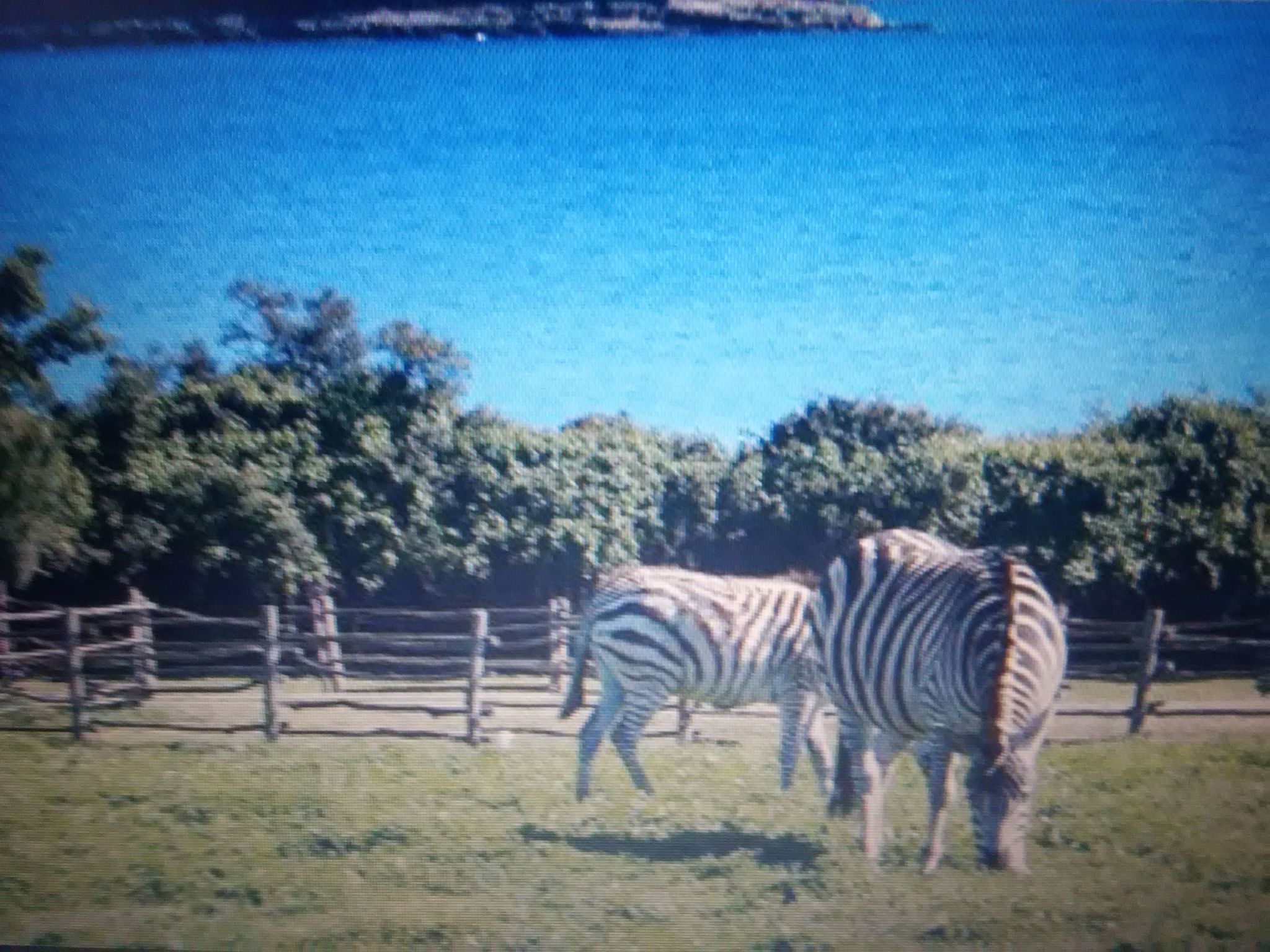 Wohnung "MaVeRo" direkt am Strand-Dedans