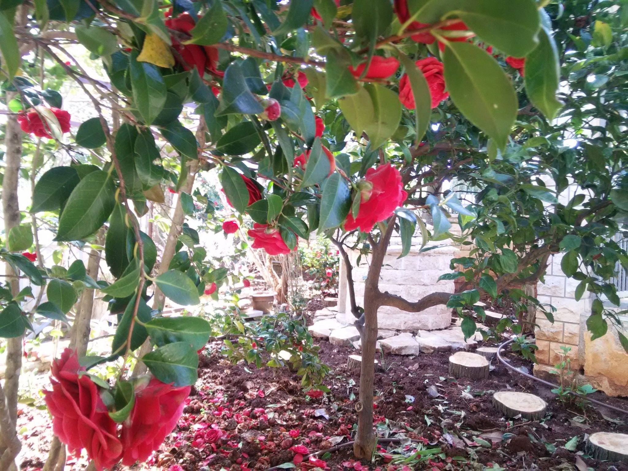 Traumurlaub in einer Villa in Strandnähe-Inside