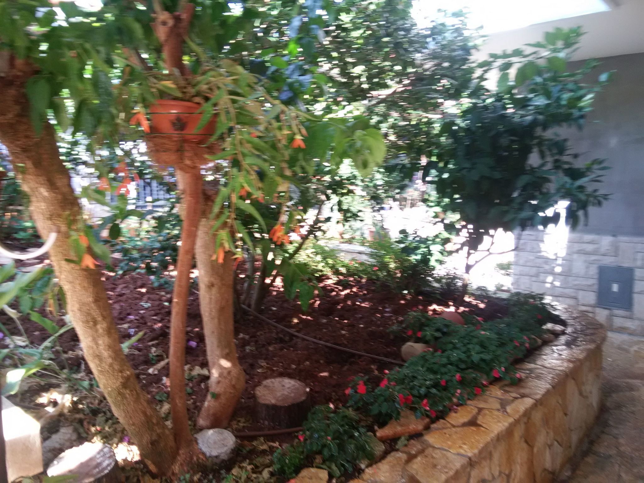 Traumurlaub in einer Villa in Strandnähe-Inside