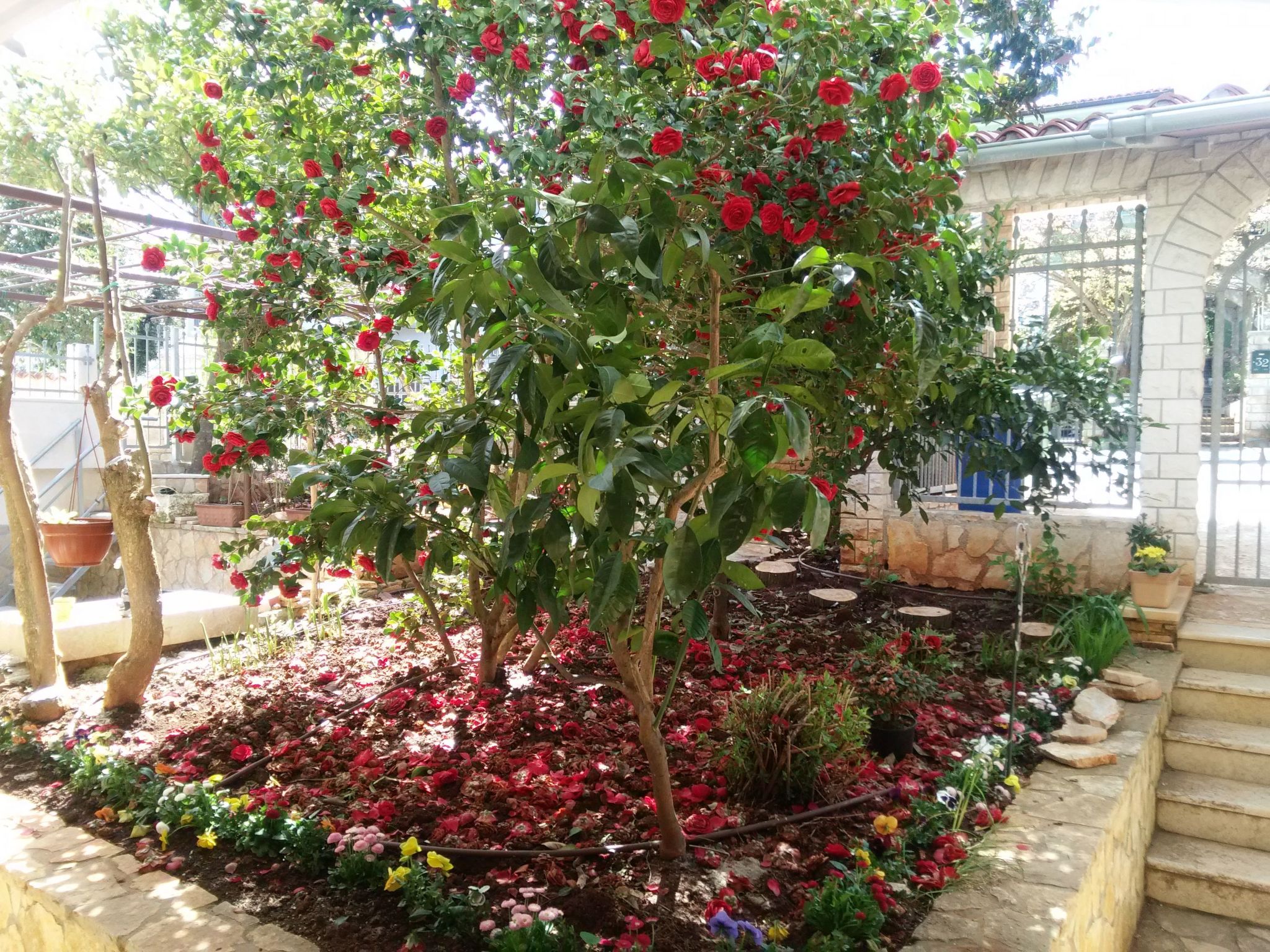 Geräumige Wohnung in der Nähe von Meer und Strand-Inside