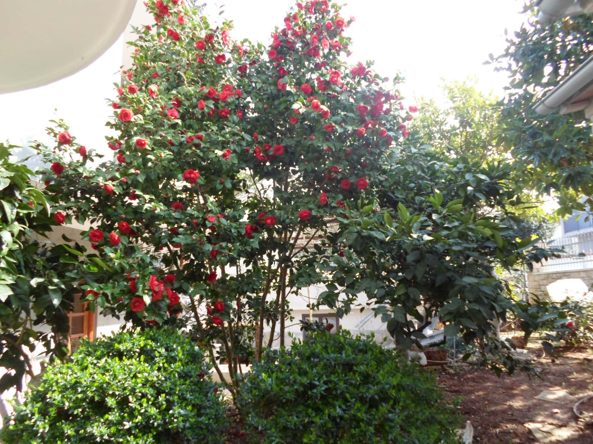 Geräumige Wohnung in der Nähe von Meer und Strand-Inside