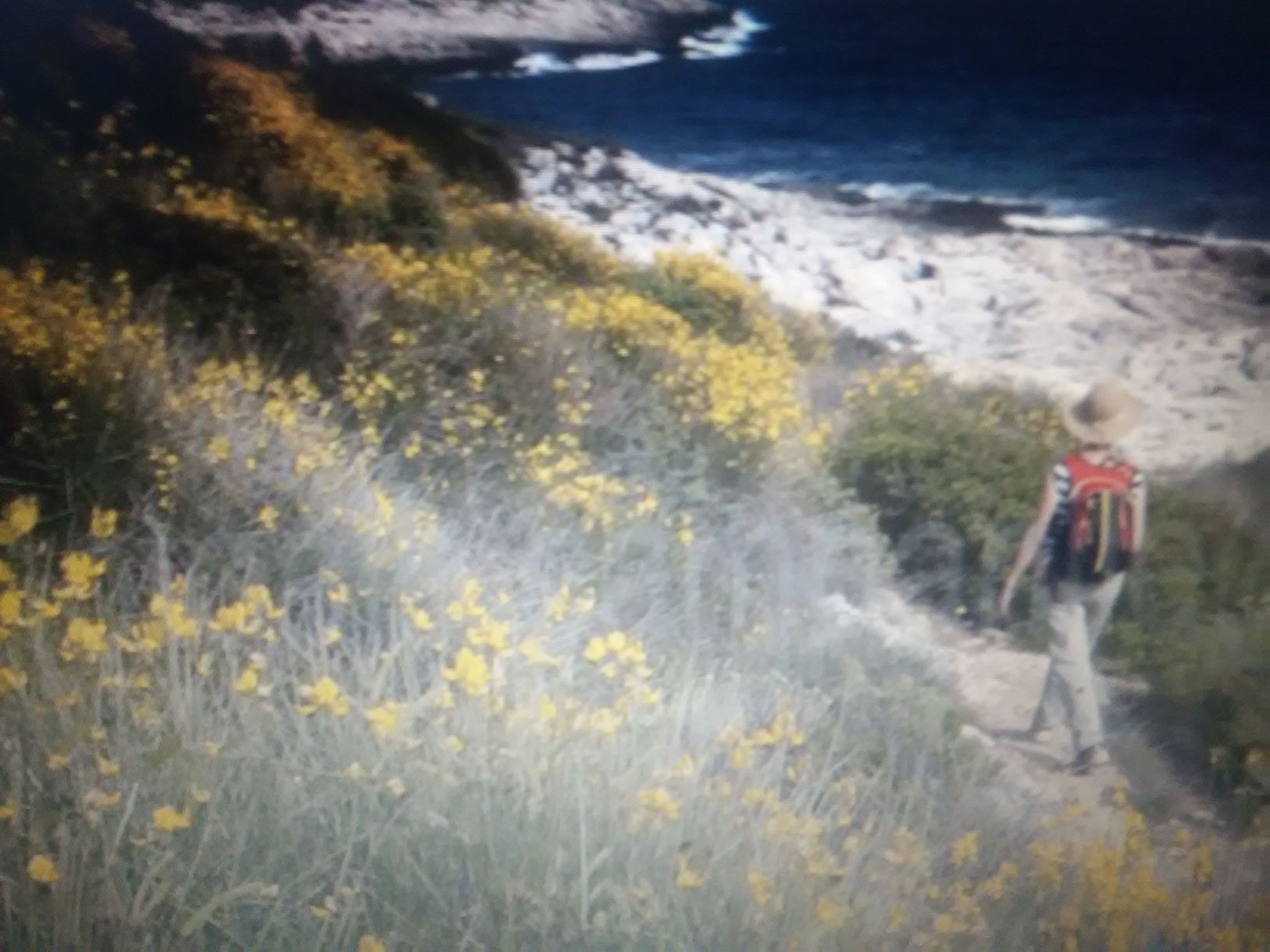 Geräumige Wohnung in der Nähe von Meer und Strand-Inside