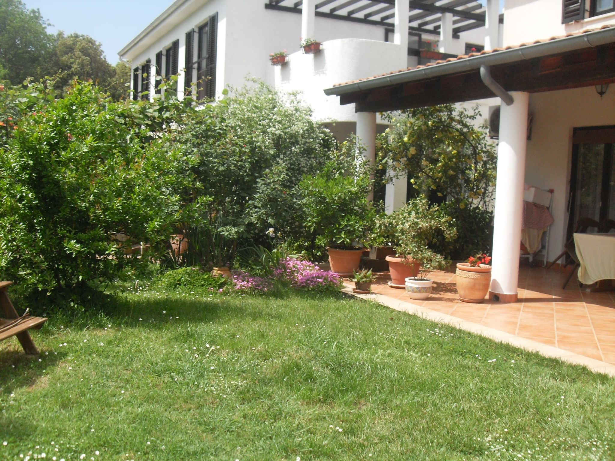 Photo of Apartment "Katja" mit Balkon