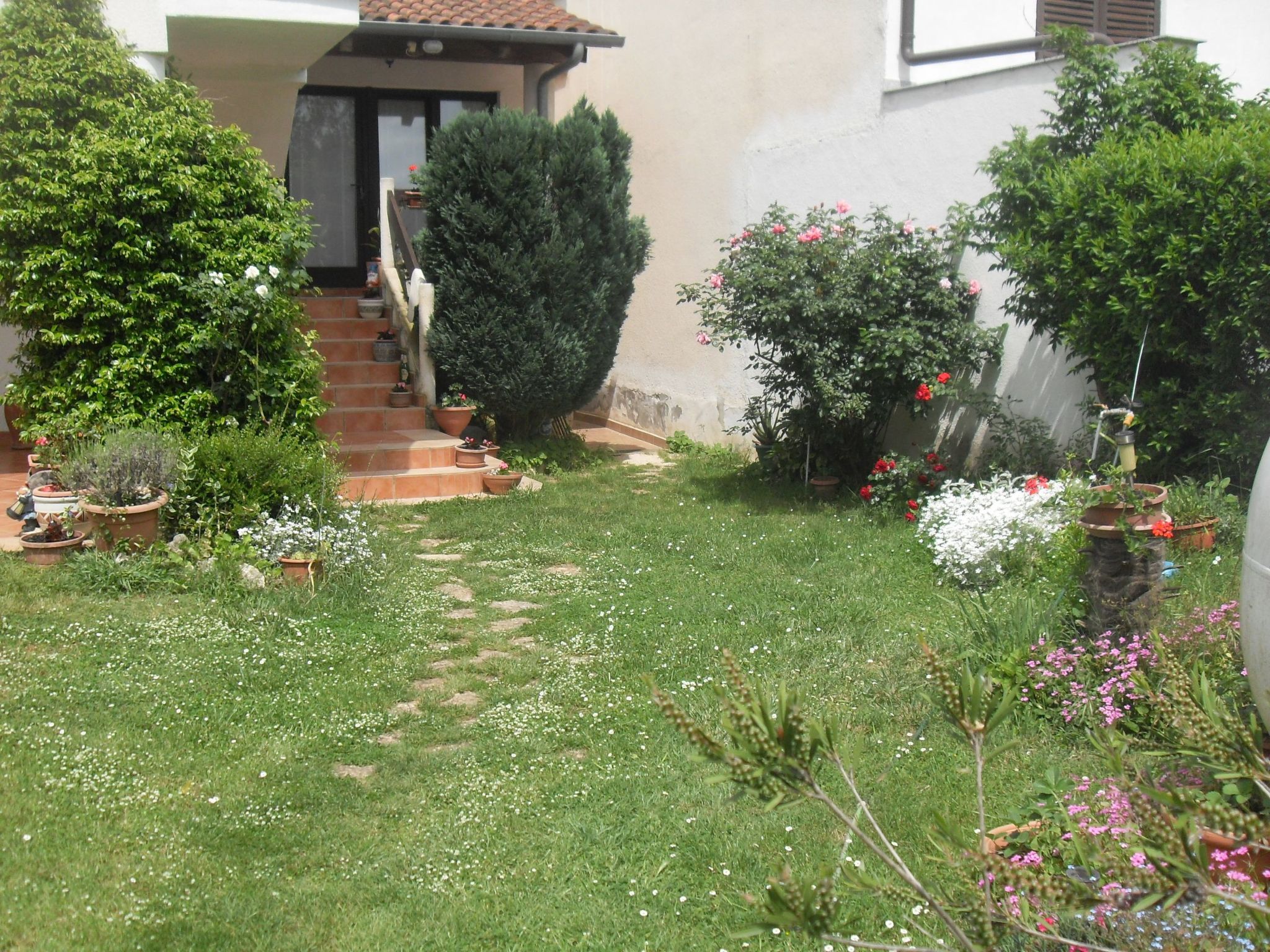 Photo of Apartment "Katja" mit Balkon