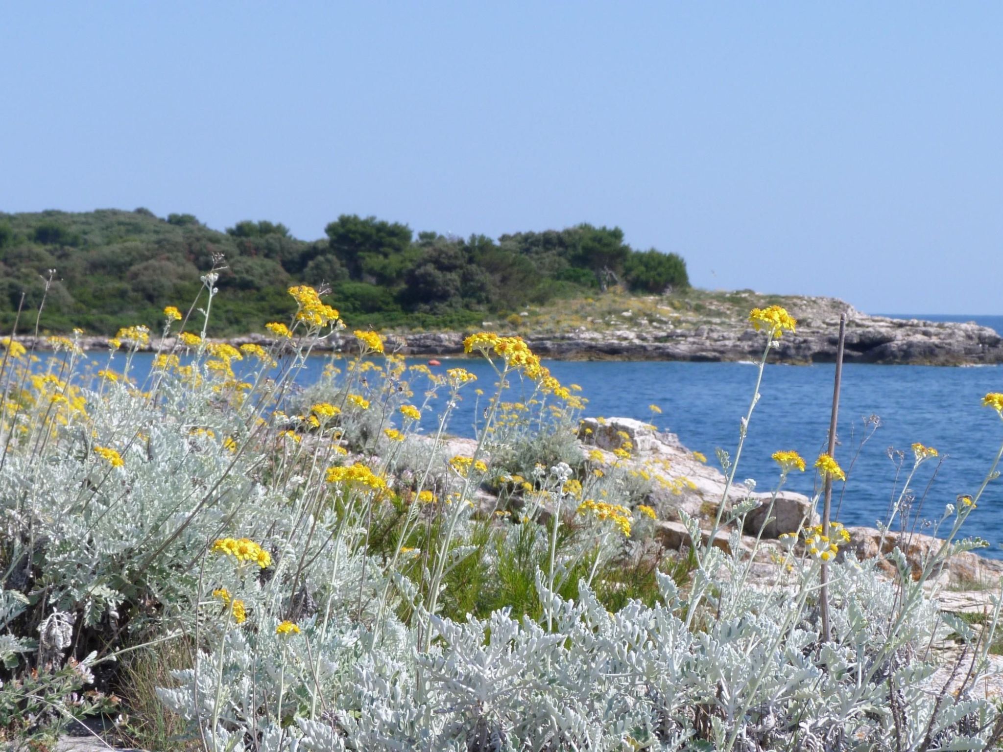 Apartment "Katja" mit Balkon-Binnen