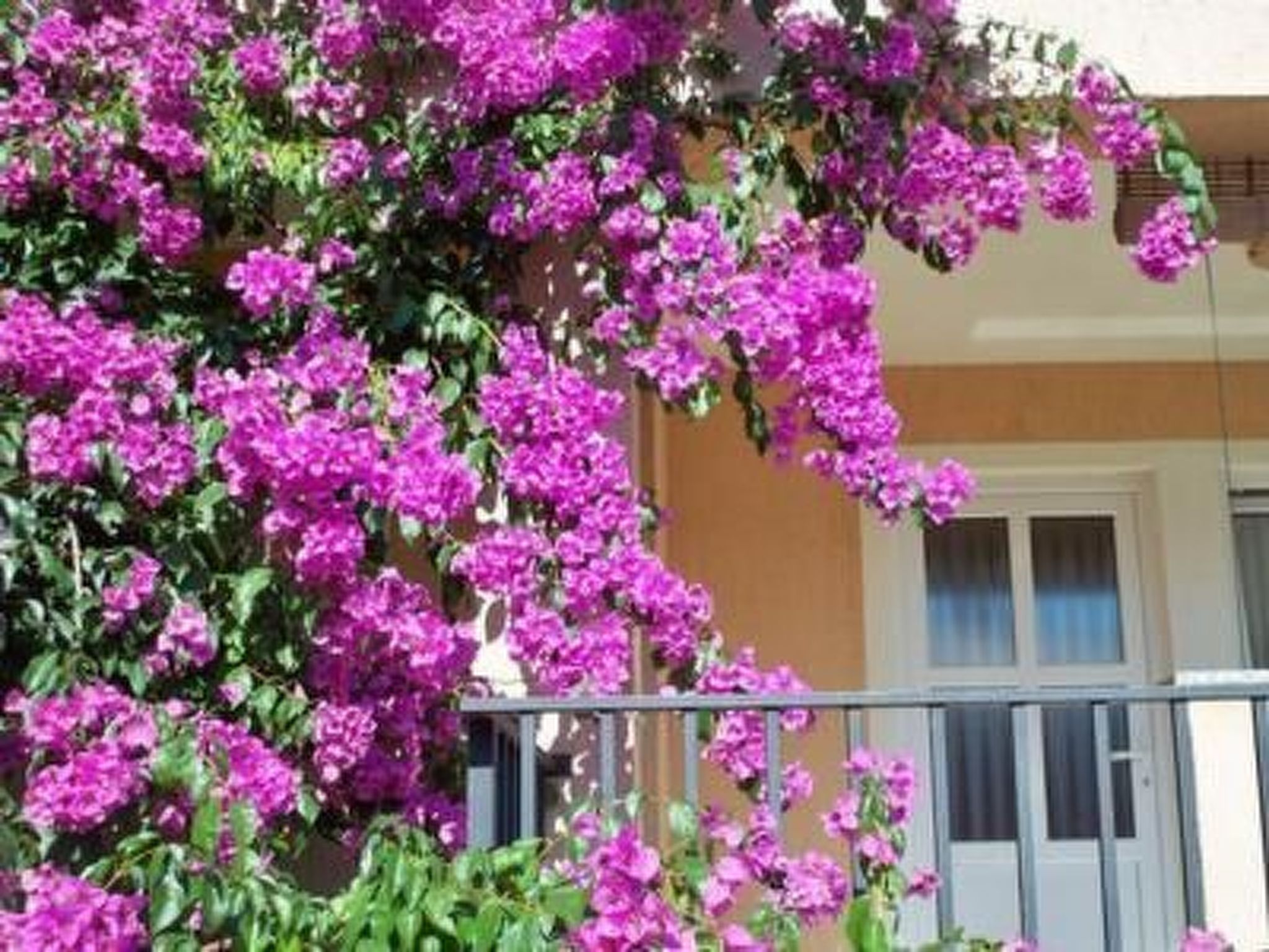 Maximaal 1 huisdier/hond toegestaan. Persons: 2+2   1st floor, 50m2 + 10m2 terrace One bedroom with double bed Living room, kitchen and dining room are one unit, extra beds for 2, with terrace Kitche..