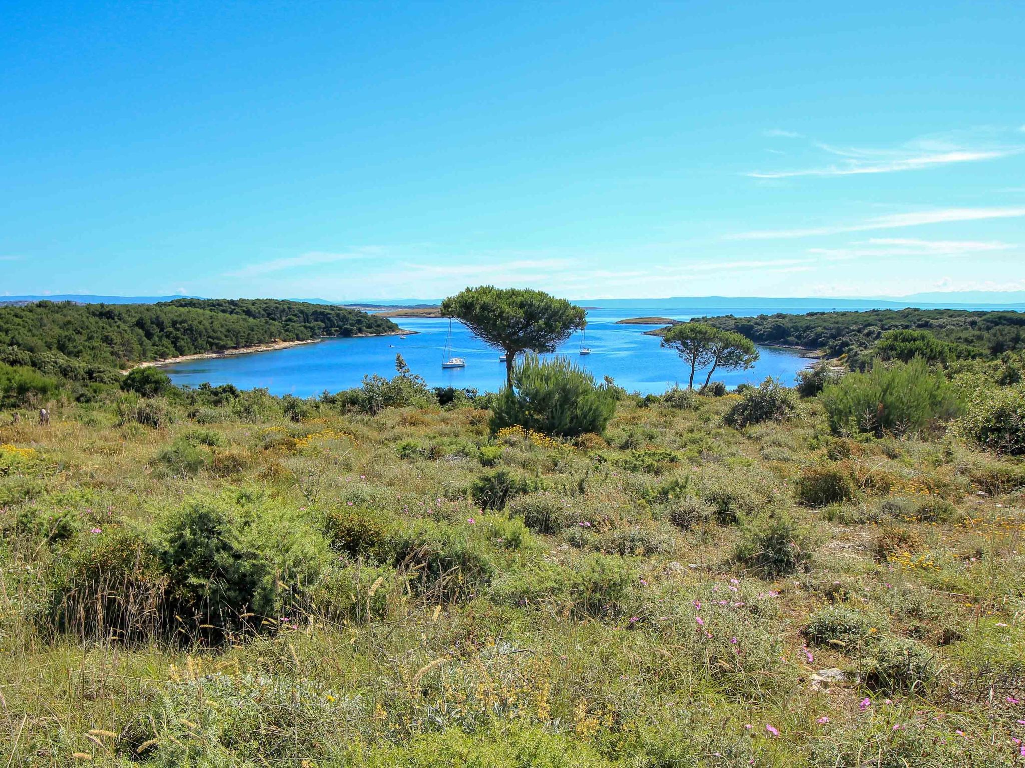 MA Premantura Luxusappartement Nr. 1 mit Terrasse und Parkplatz für 2+2 Persone-Drinnen