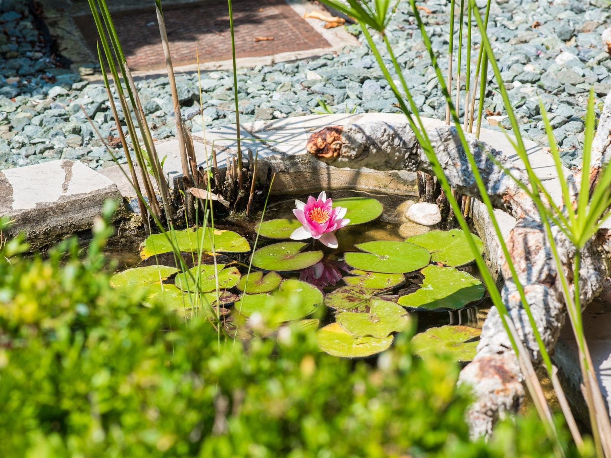Photo of Elegantes Familienappartement mit privatem Pool