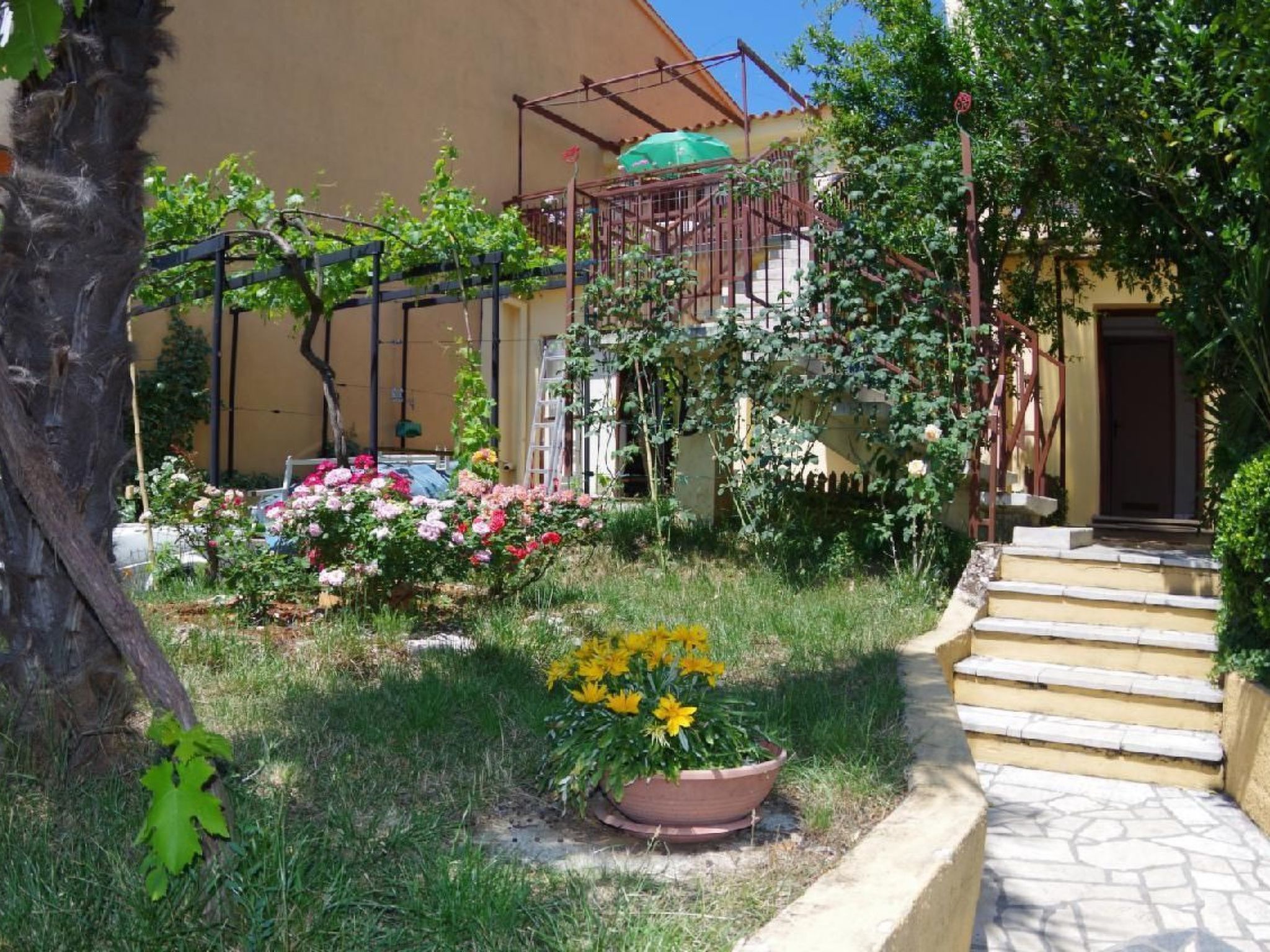 Wohnung in Pješčana Uvala, 500 m vom Strand entfernt-Dehors