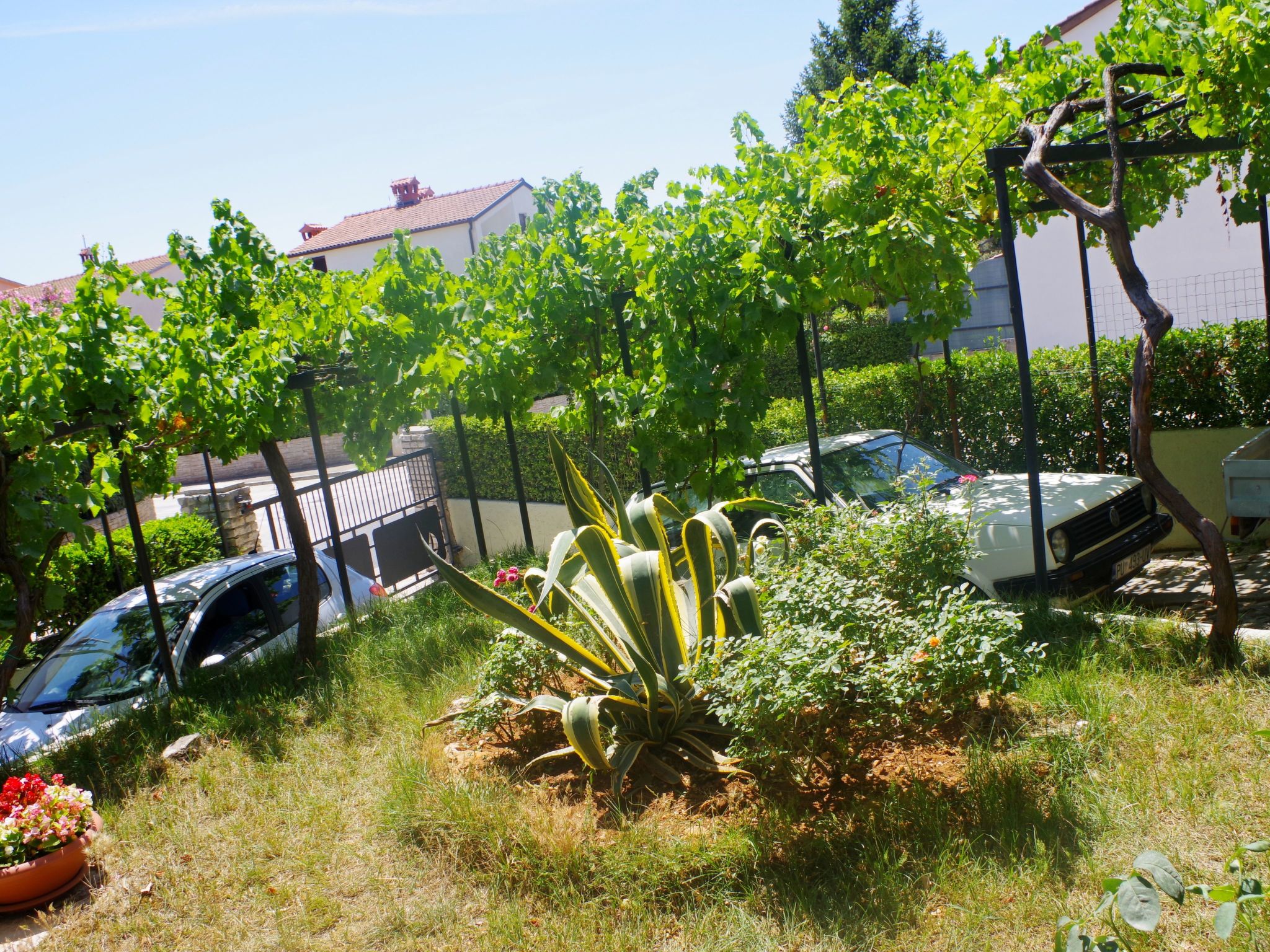 Photo of Wohnung in Pješčana Uvala, 500 m vom Strand entfernt