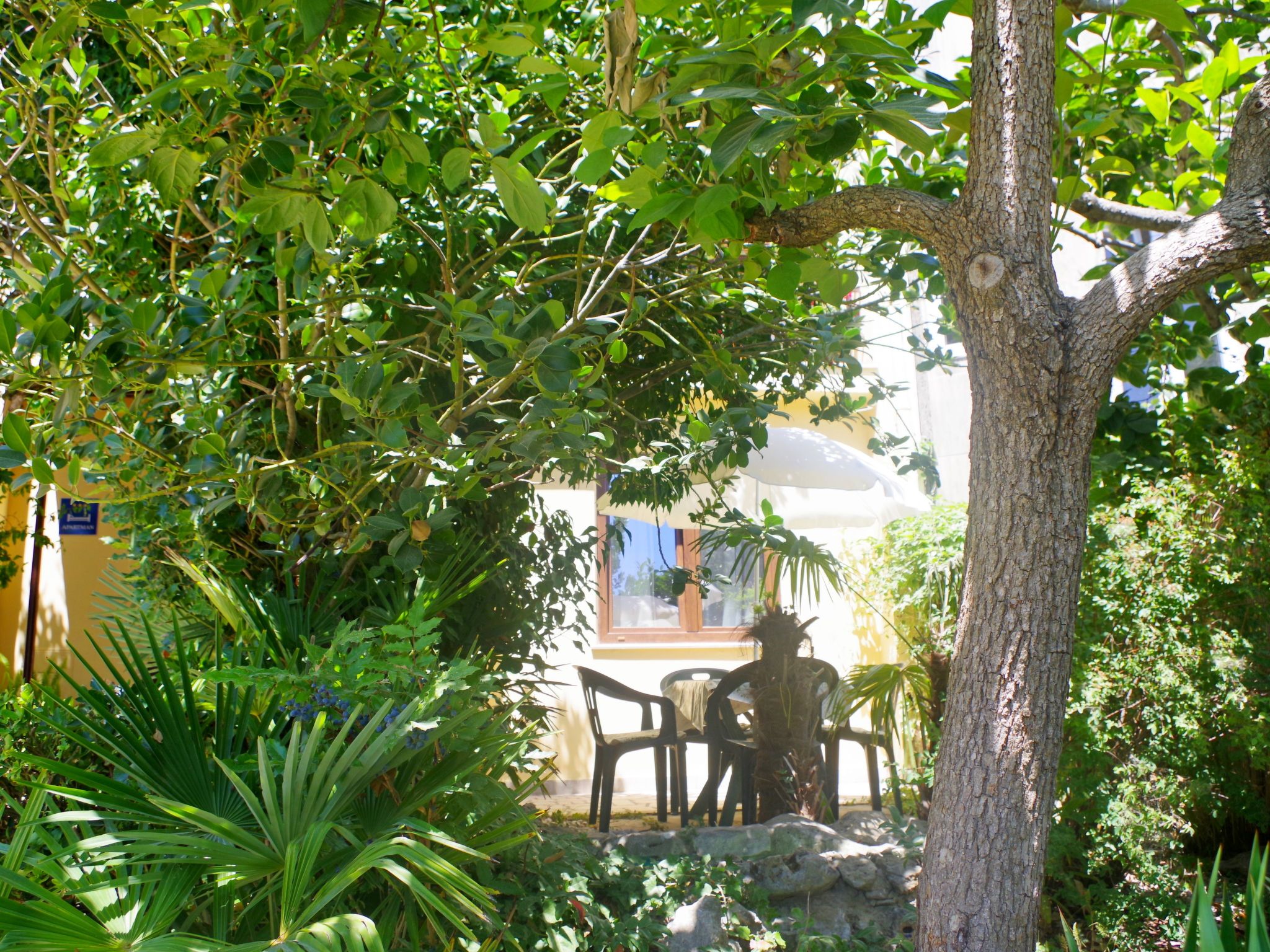 Photo of Wohnung in Pješčana Uvala, 500 m vom Strand entfernt