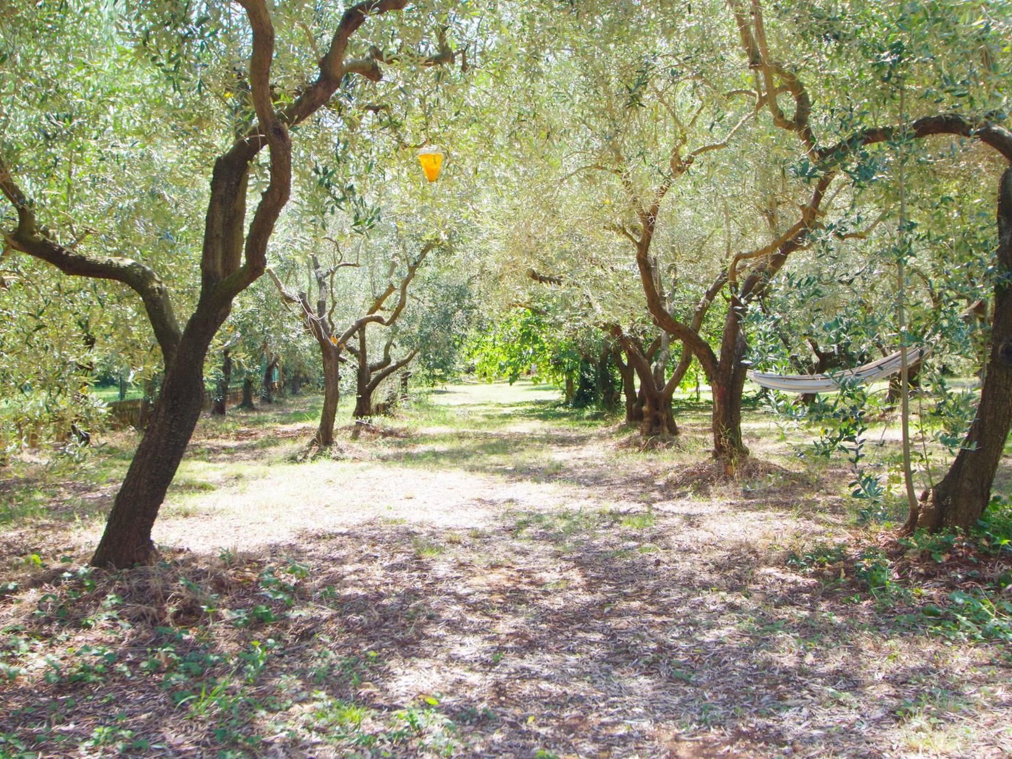 Photo of am Meer "Zara"