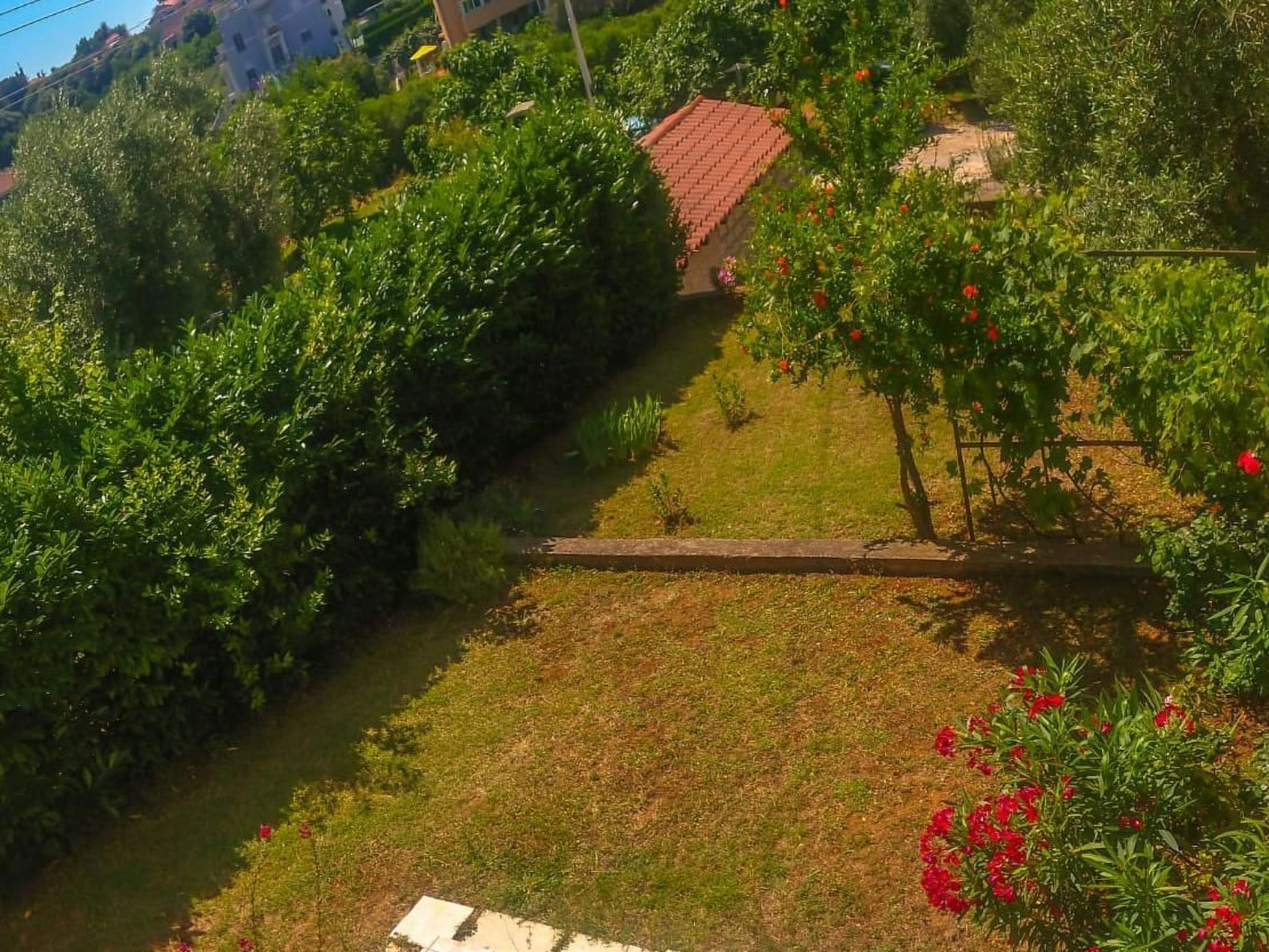 "Stefanija"-Image-tags.info