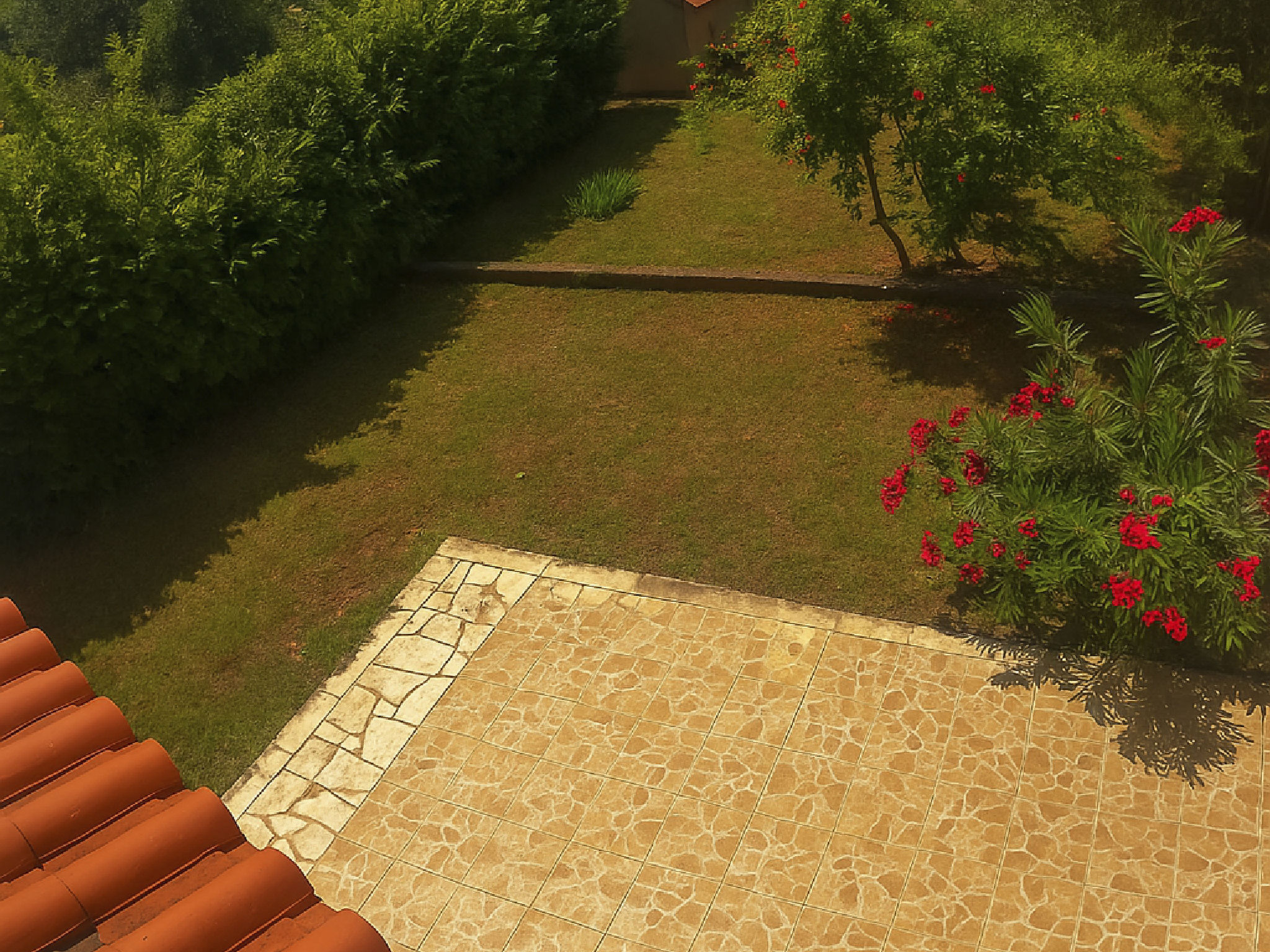 Photo of "Stefanija"