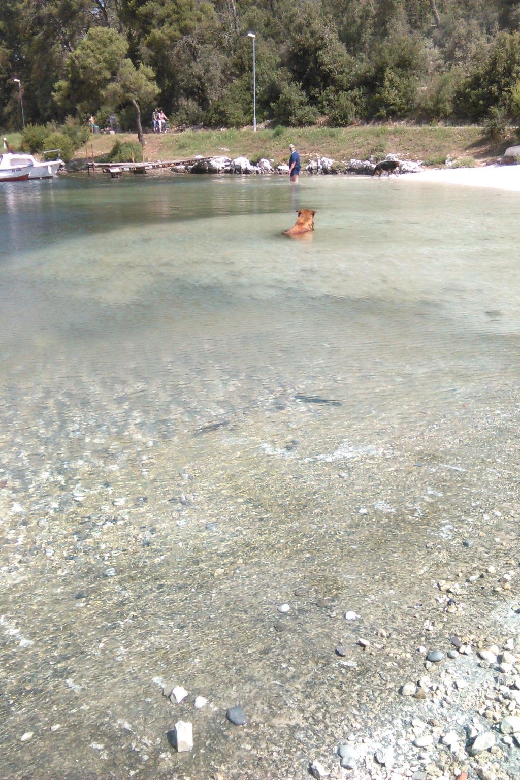 Photo of "Stefanija"