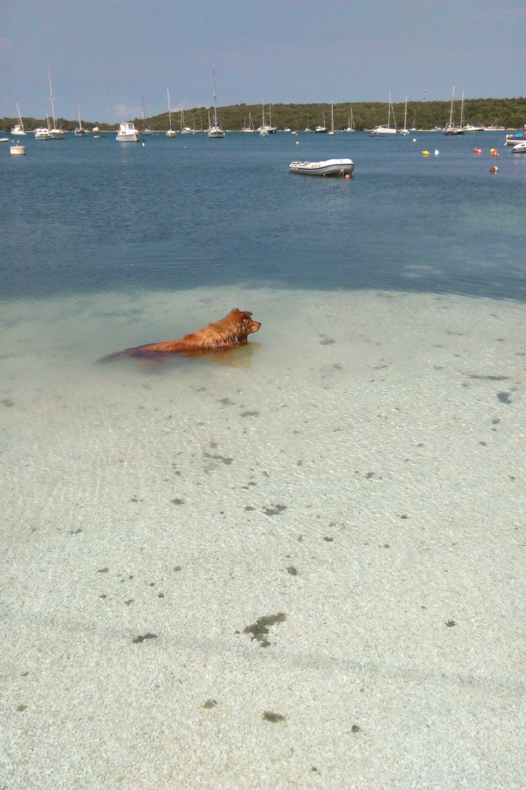 Photo of "Stefanija"