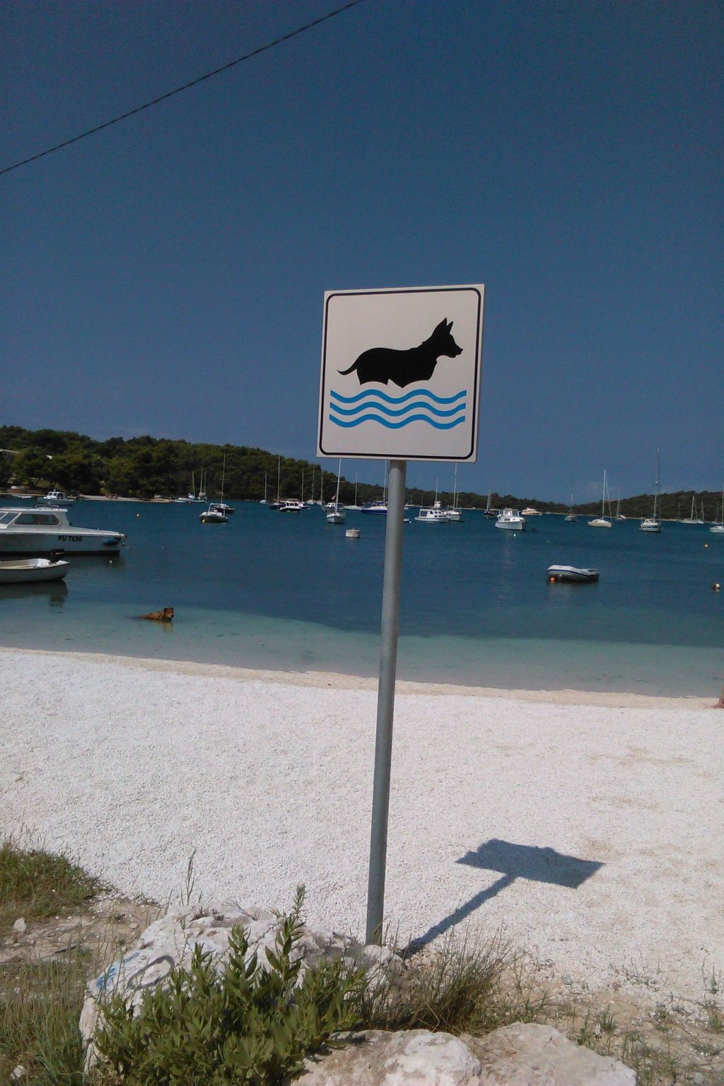 Photo of "Stefanija"