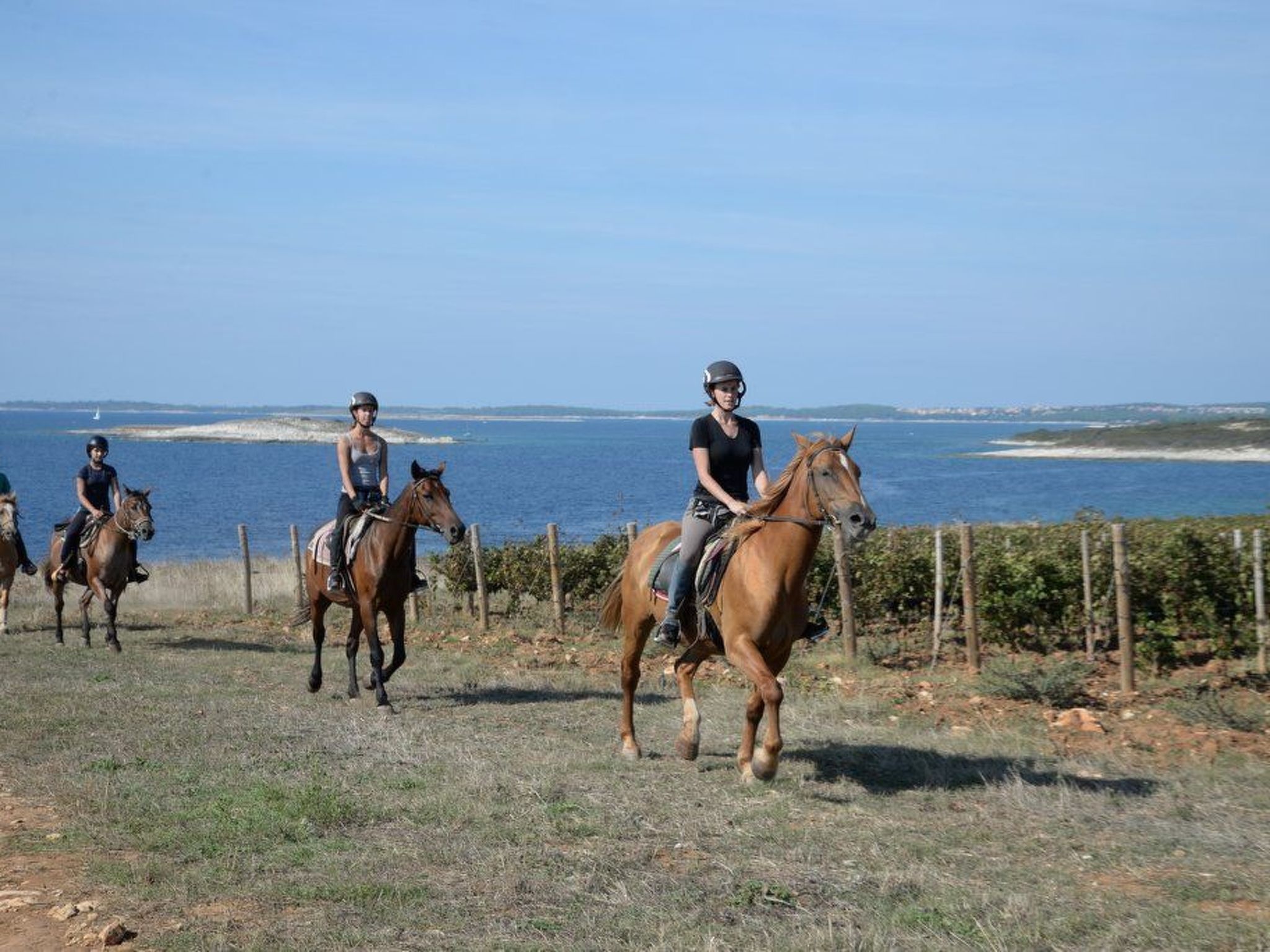Villa Vedorna großes Wellness-Haus in Strandnähe, Pomer-Binnen