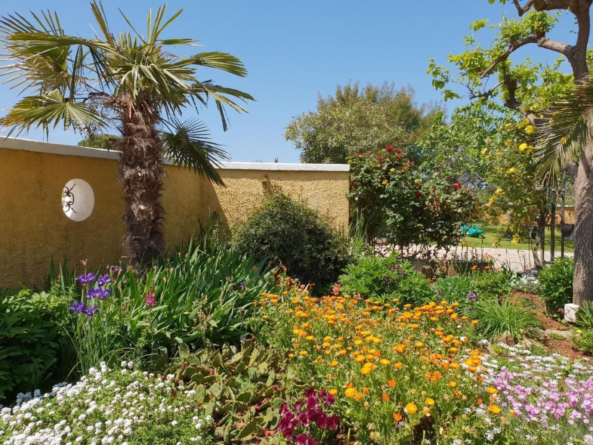 Luxus-App Marin - Terrasse, Garten, Grillplatz, Strandnähe-Binnen