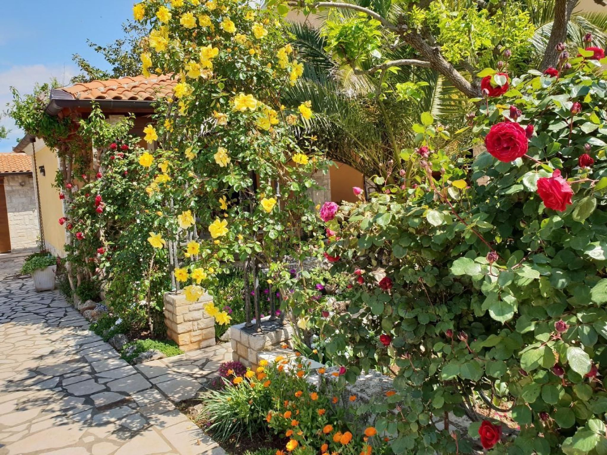 Luxus-App Marin - Terrasse, Garten, Grillplatz, Strandnähe-Binnen