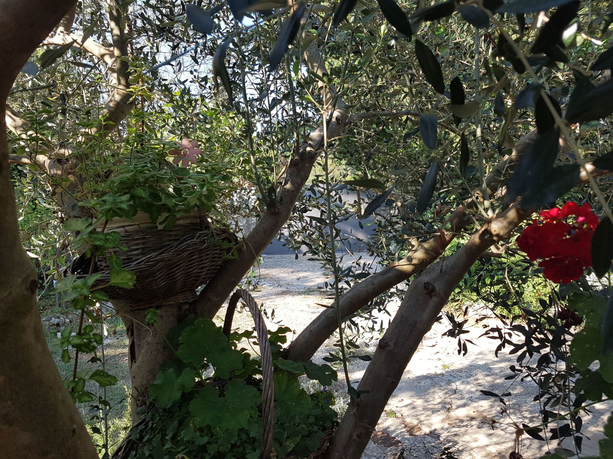 Photo of in Banjole mit Großem Garten