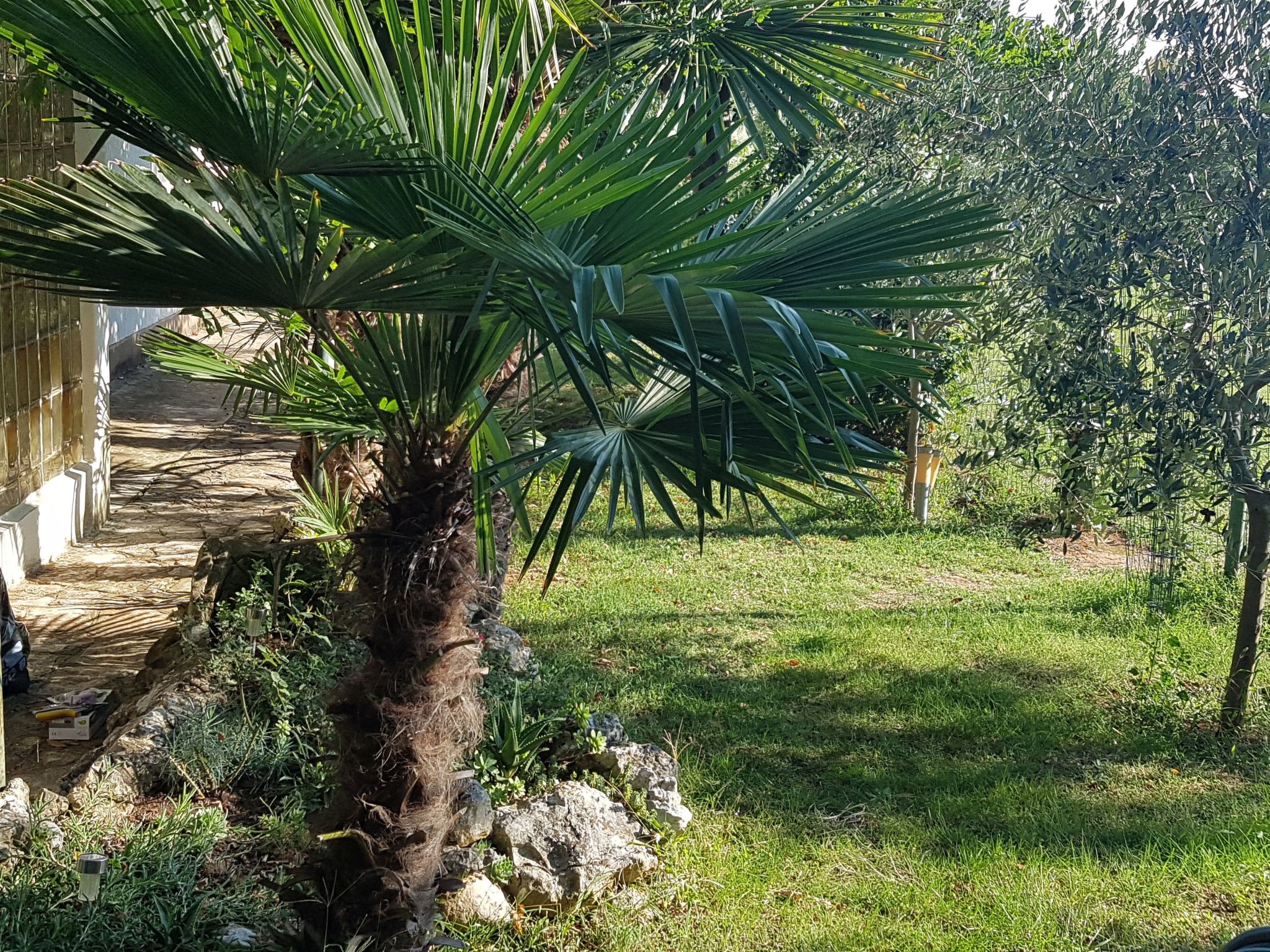 In Banjole mit Großem Garten-Dehors