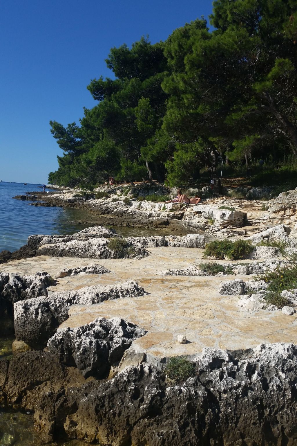 Photo of in Banjole mit Großem Garten