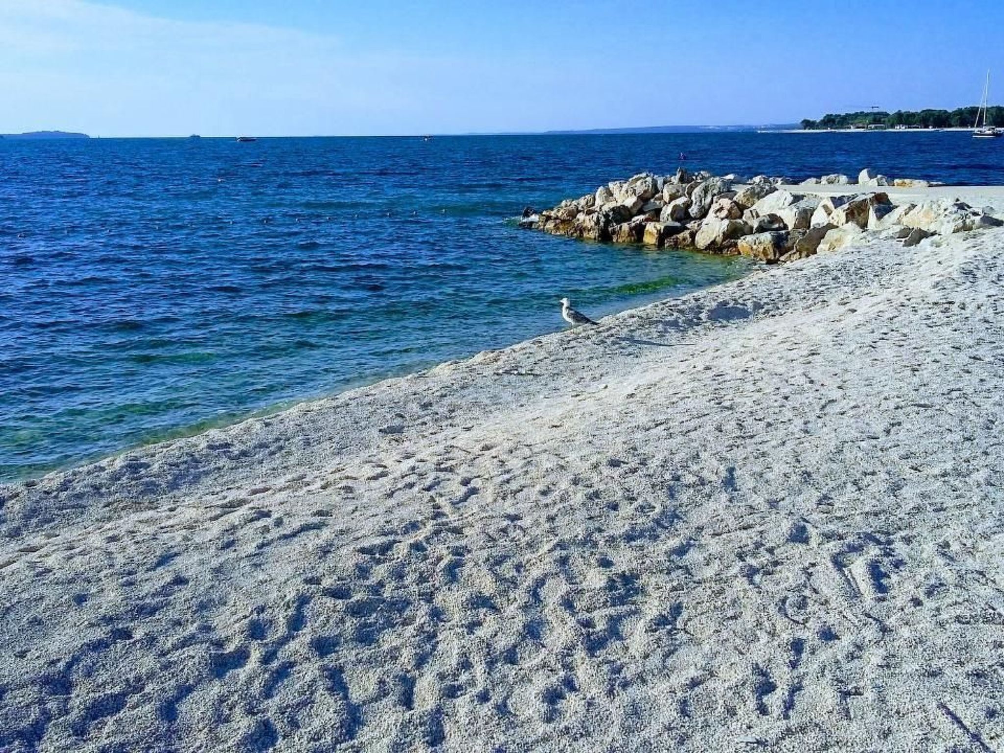 Photo of Studio "Goga" mit Terrasse, 800 m vom Strand entfernt