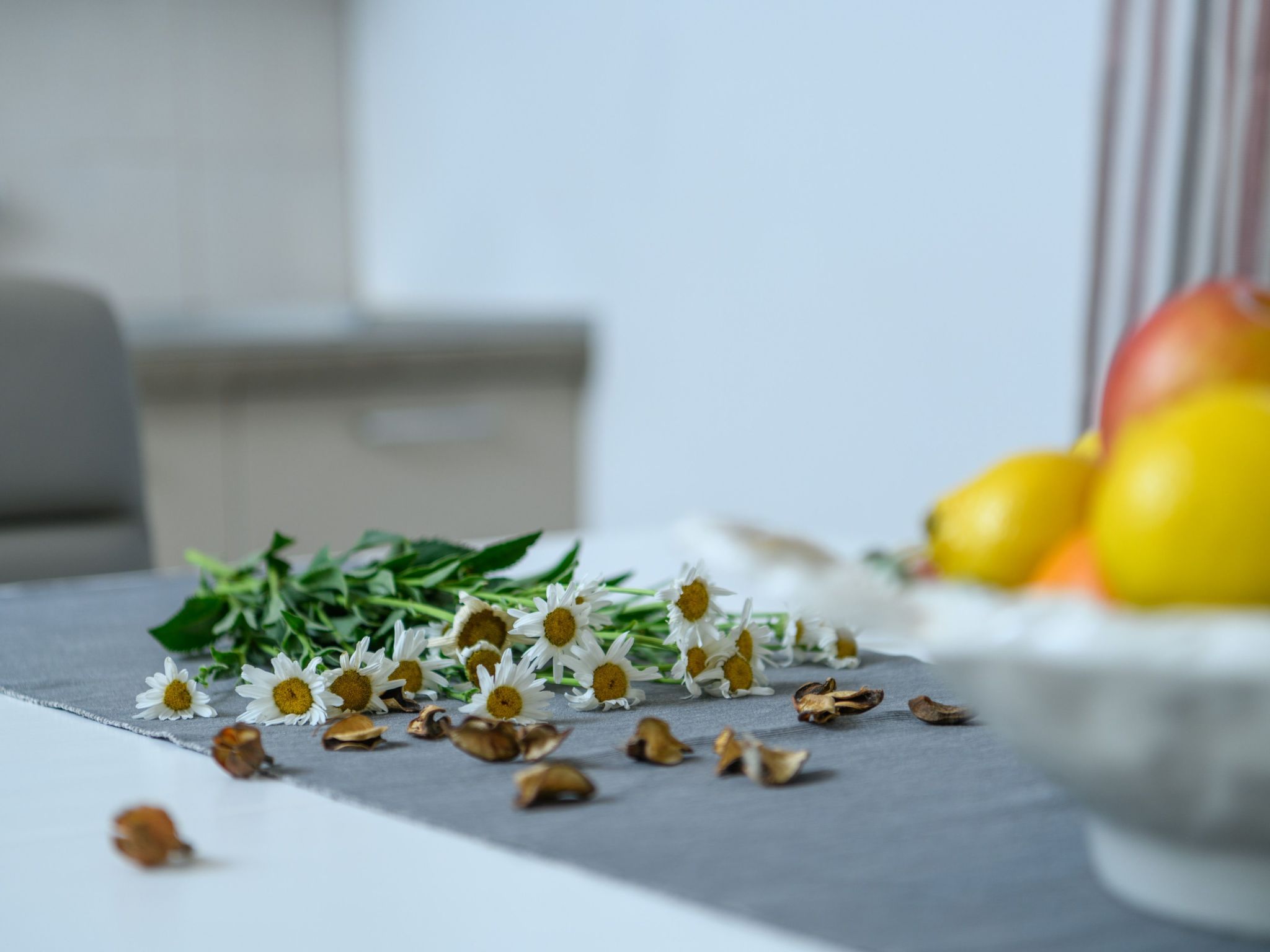 Photo of Wunderschönes Ferienhaus in Pomer mit Garten