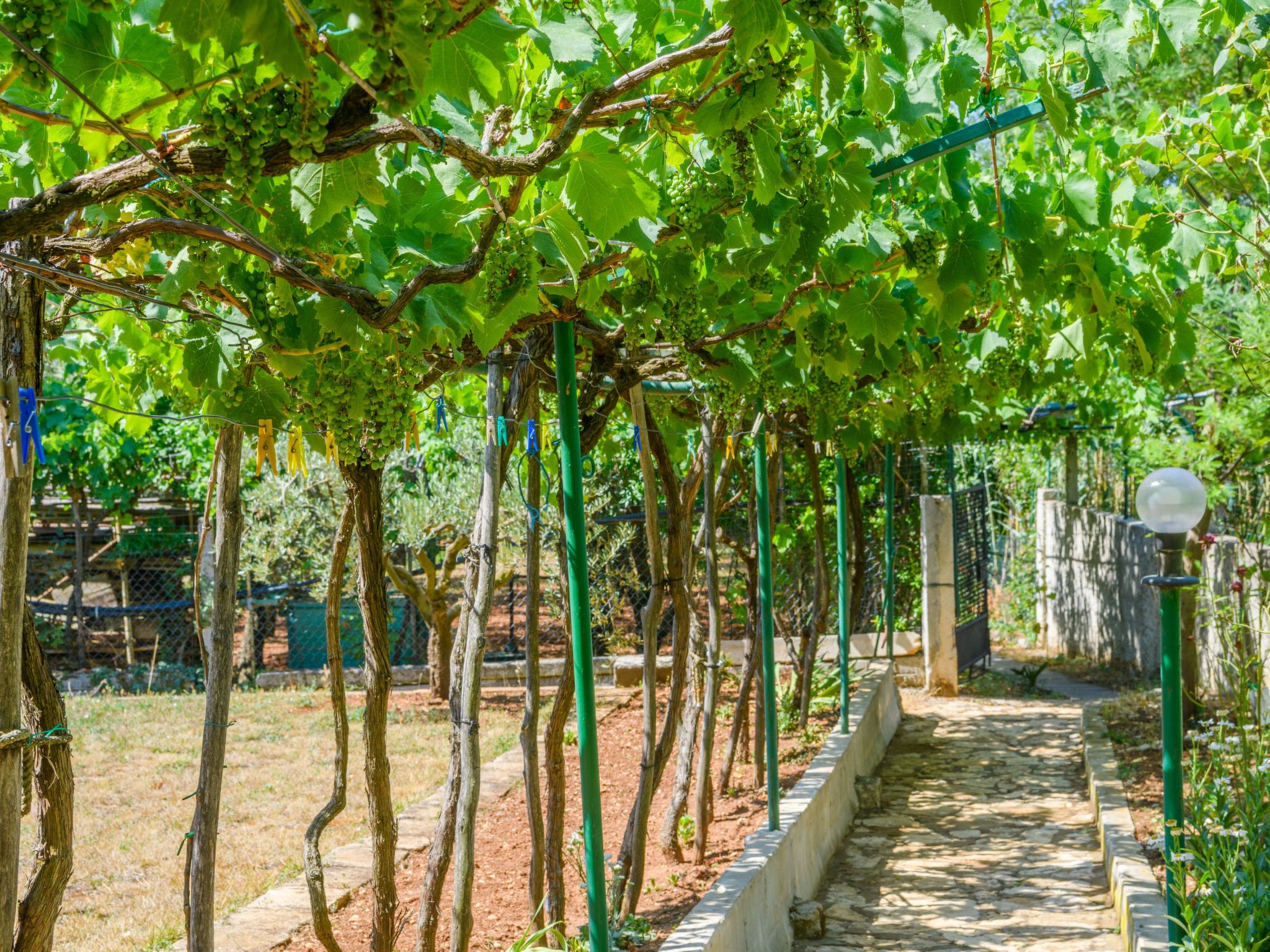Photo of Wunderschönes Ferienhaus in Pomer mit Garten