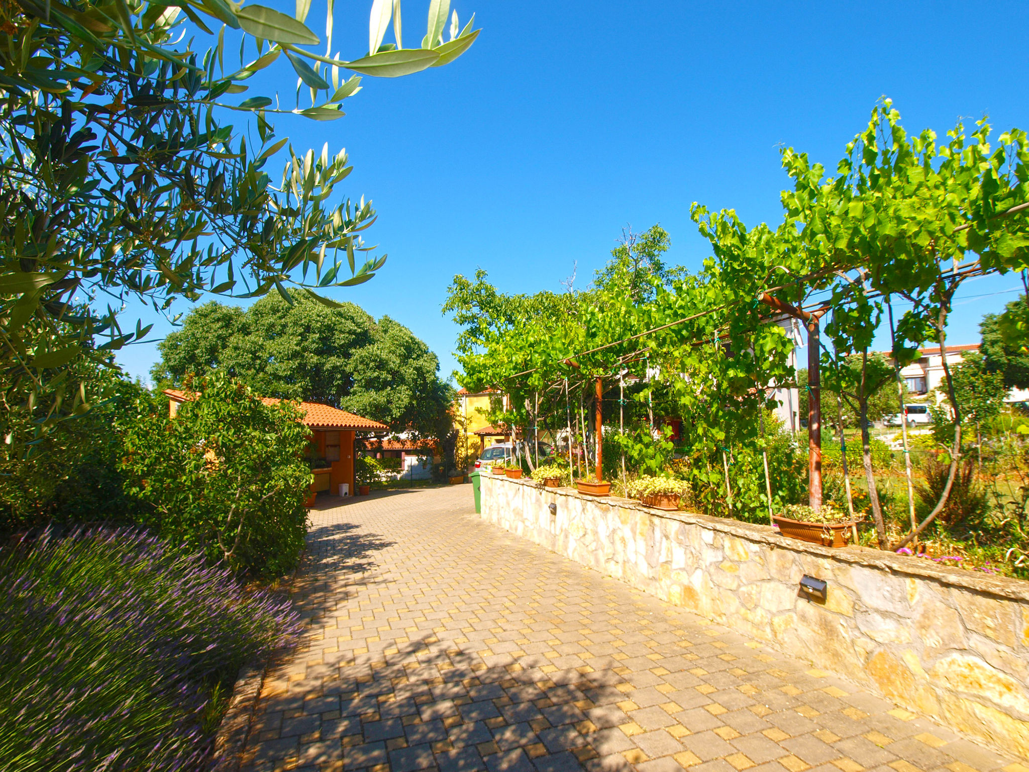 Photo of Apartment 1318