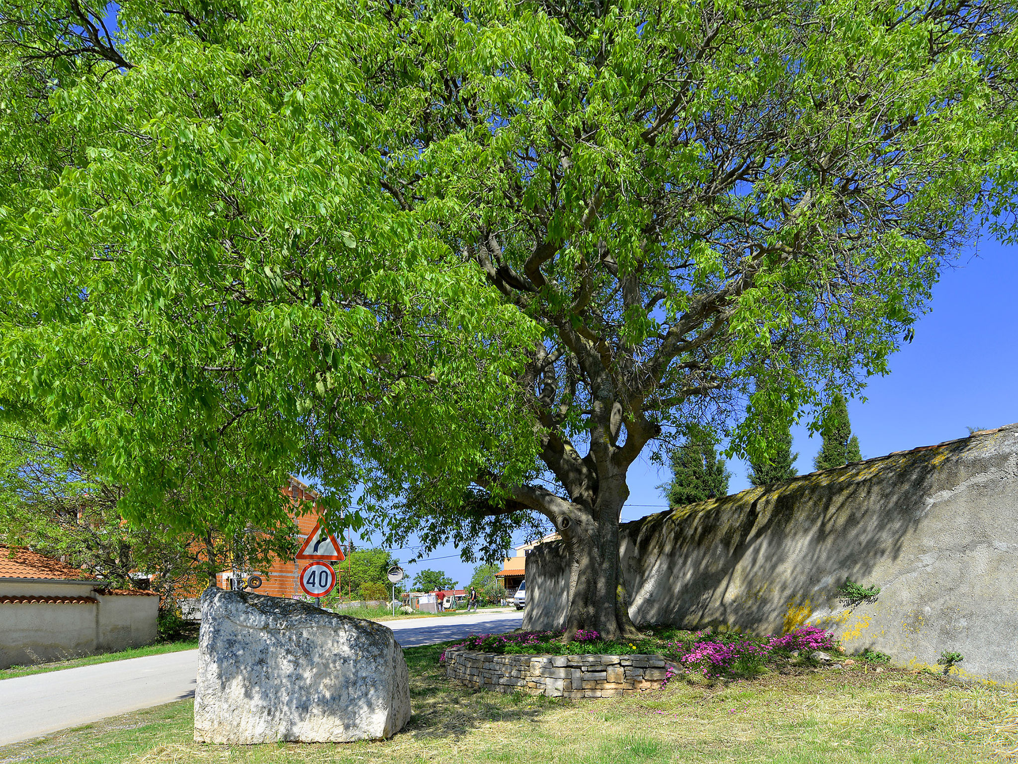 Photo of Apartment 1838