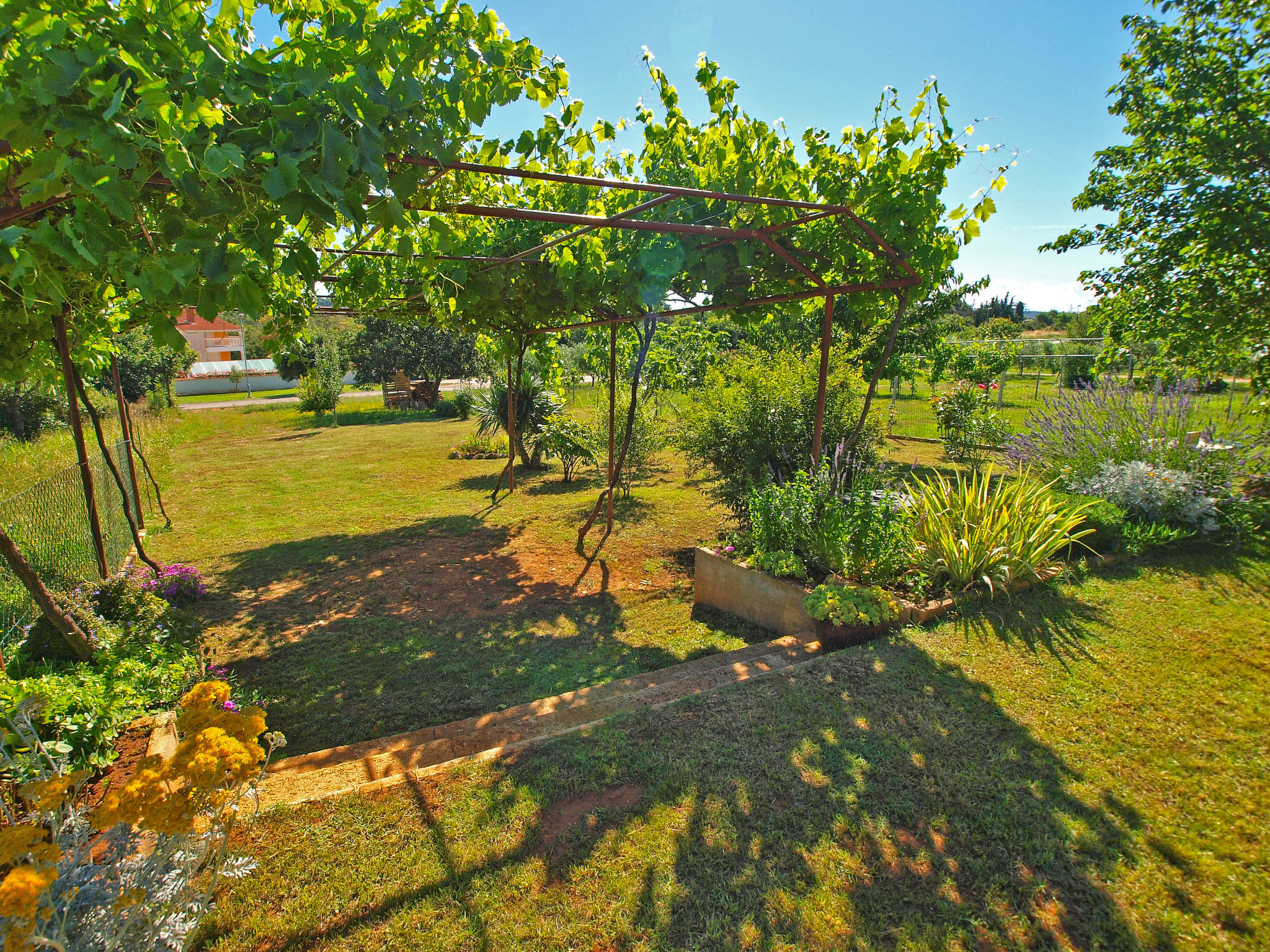 Photo of Apartment 979