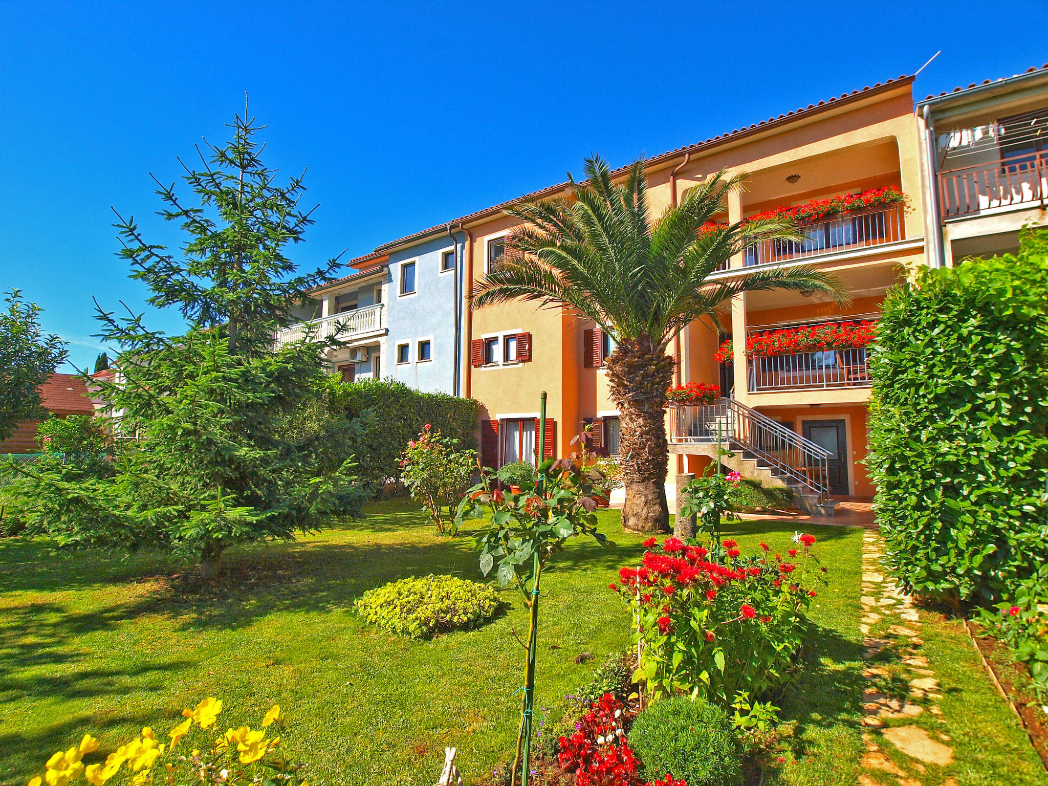 Photo of Apartment 979