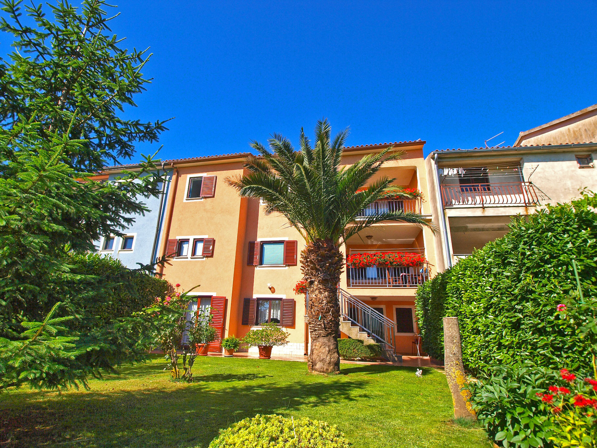 Photo of Apartment 979